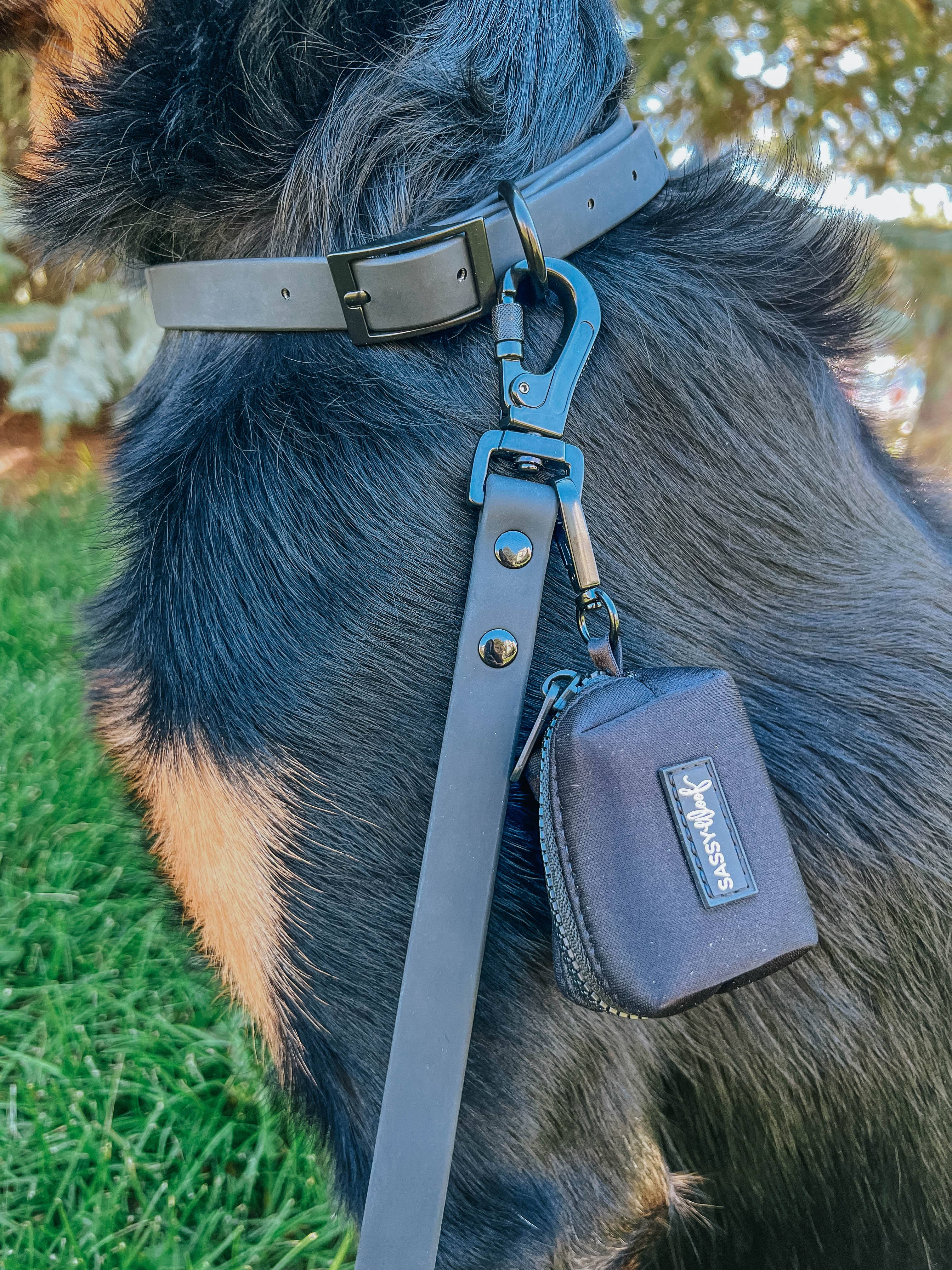 SASSY WOOF - Waterproof Dog Leash - Black