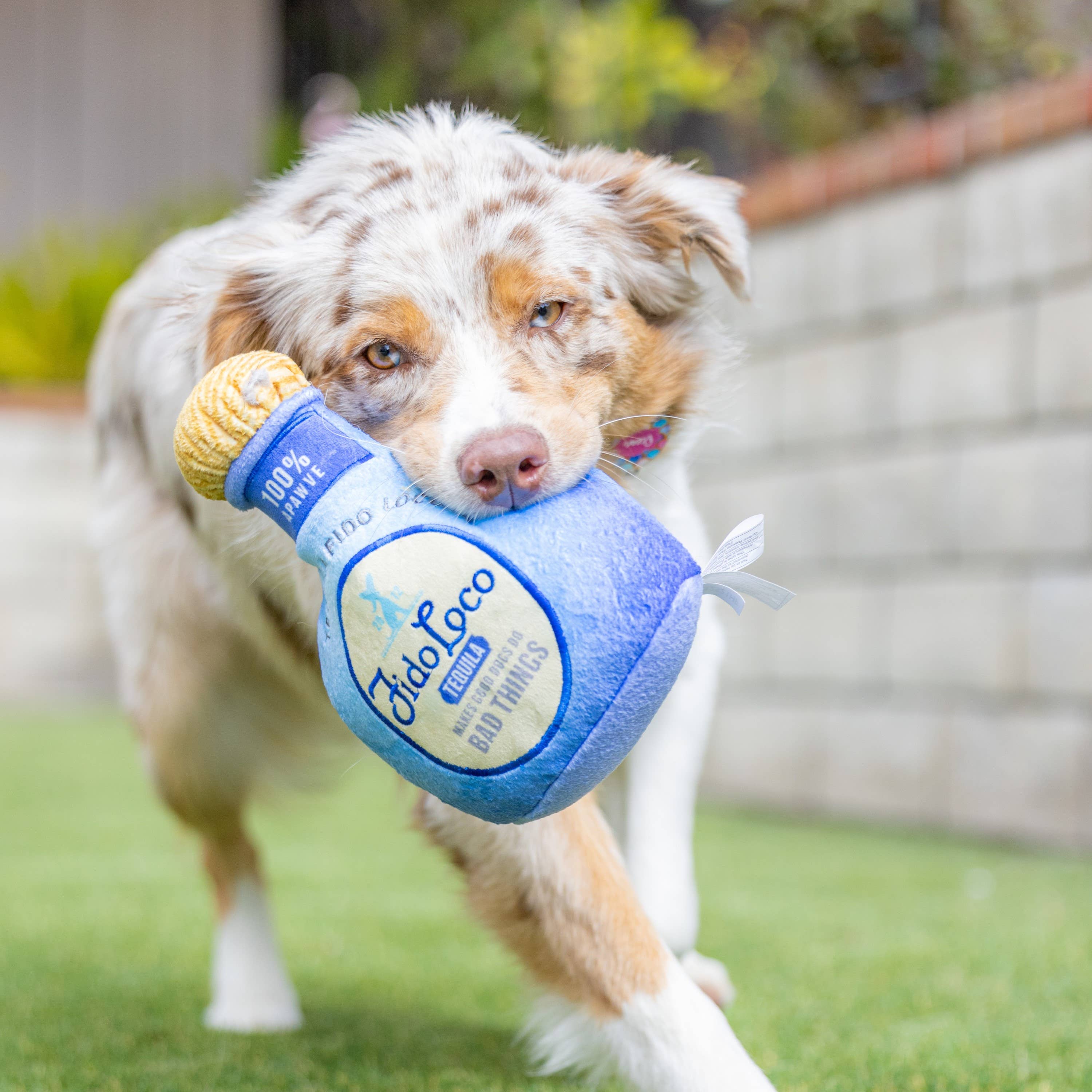 Huxley & Kent - Fido Loco Tequila Dog Toy: Large