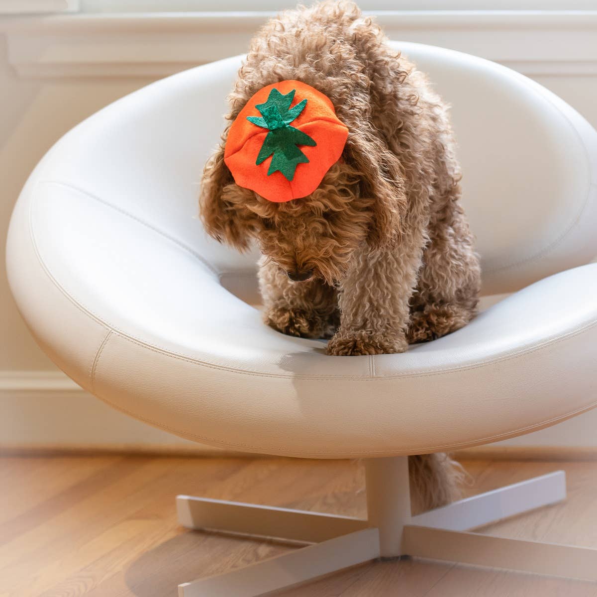 Midlee Designs - Midlee Dog Pumpkin Headband Halloween Costume