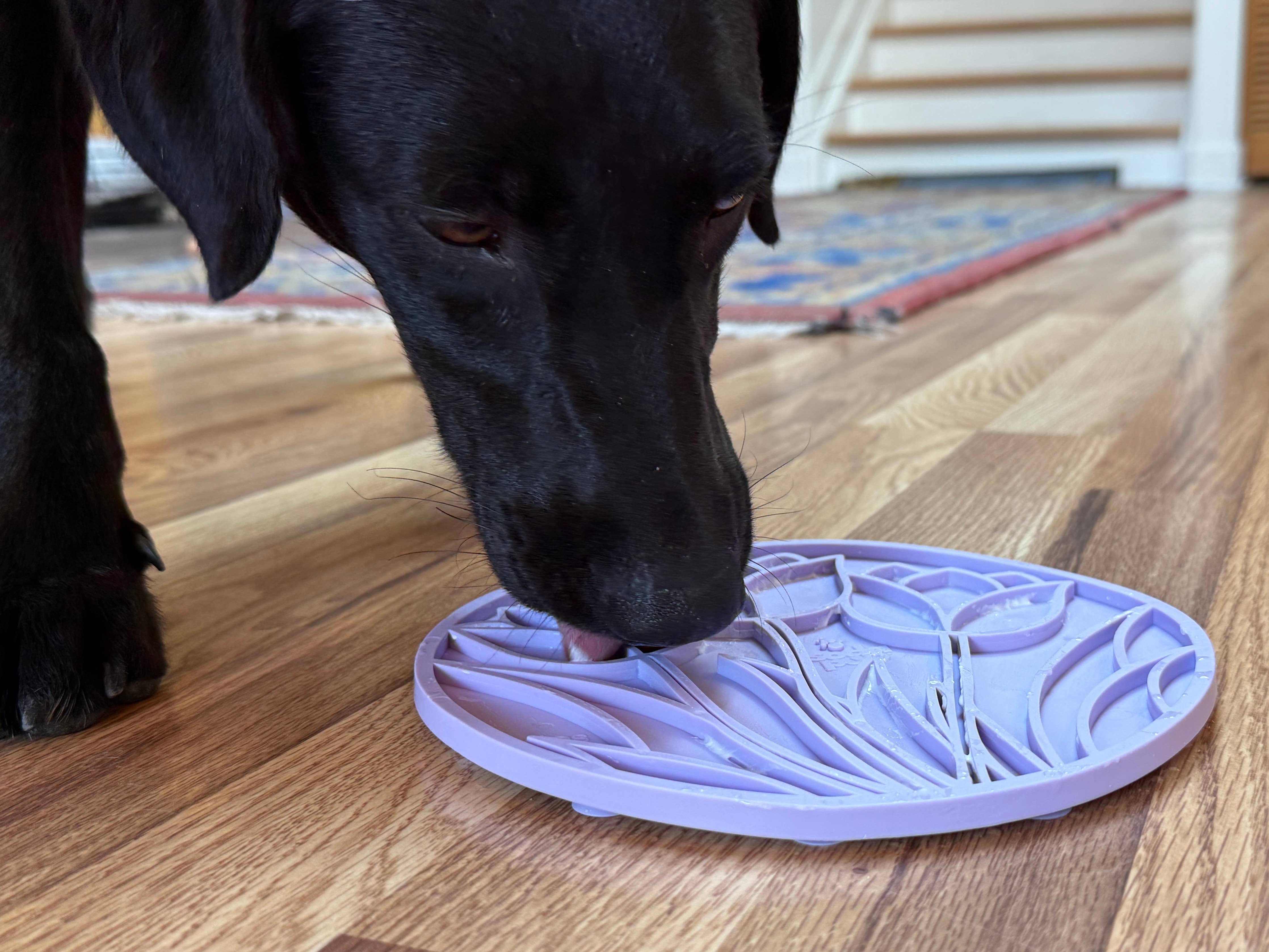 SodaPup Dog Toys - Tulip Design eMat Enrichment Lick Mat With Suction Cups: Pastel Purple Lotus emat