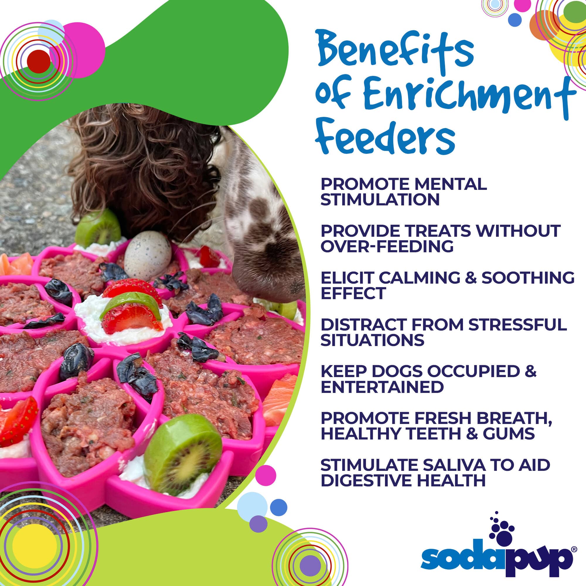 SodaPup Dog Toys - Mandala Design eTray Enrichment Tray for Dogs: Blue