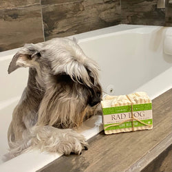 Rad Dog - Stink Relief Bar: No bag.