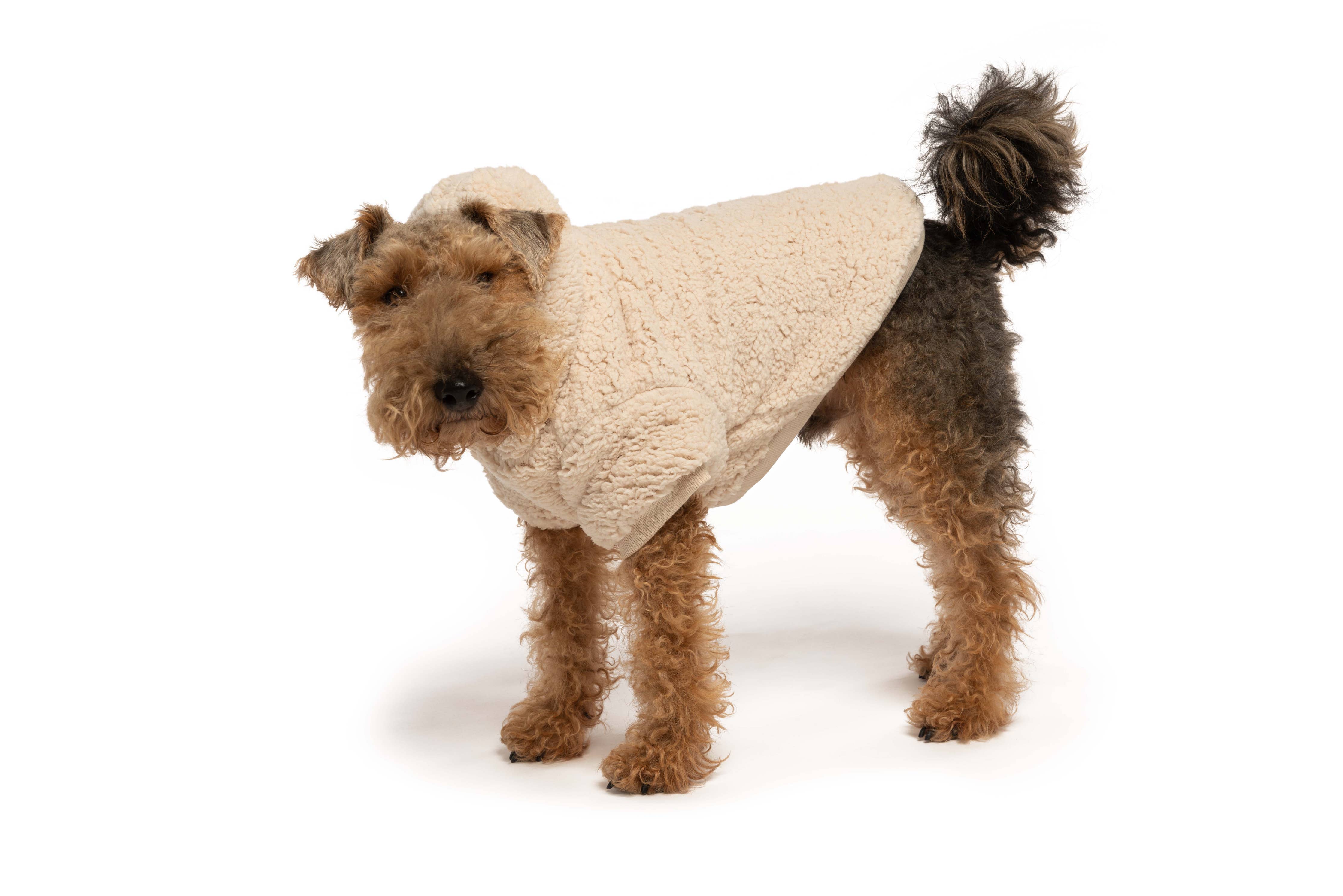 Cream Sherpa Dog Hoodie: 12