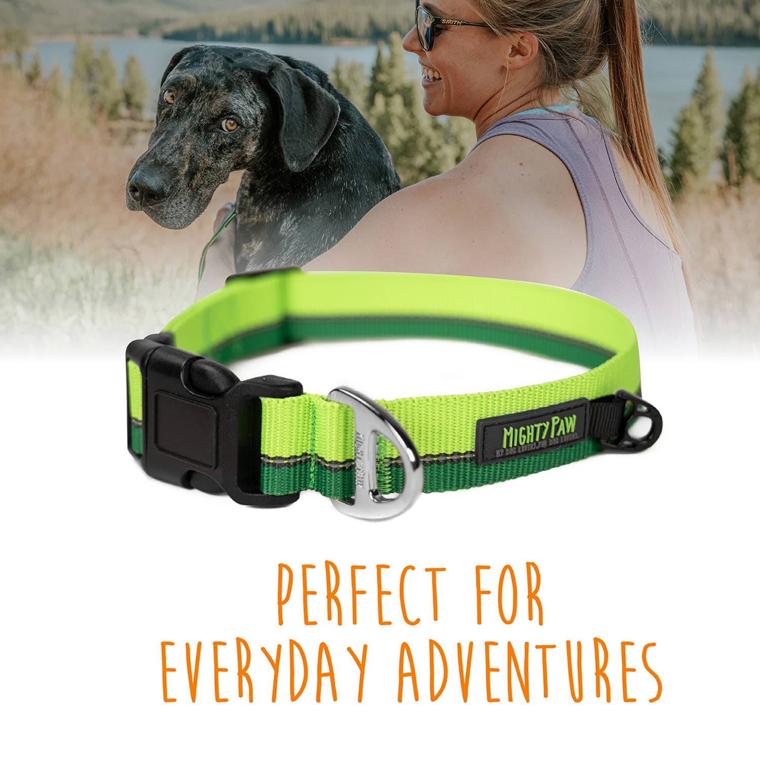 Mighty Paw - Standard Reflective Colorblast Dog Collar: Green / Medium