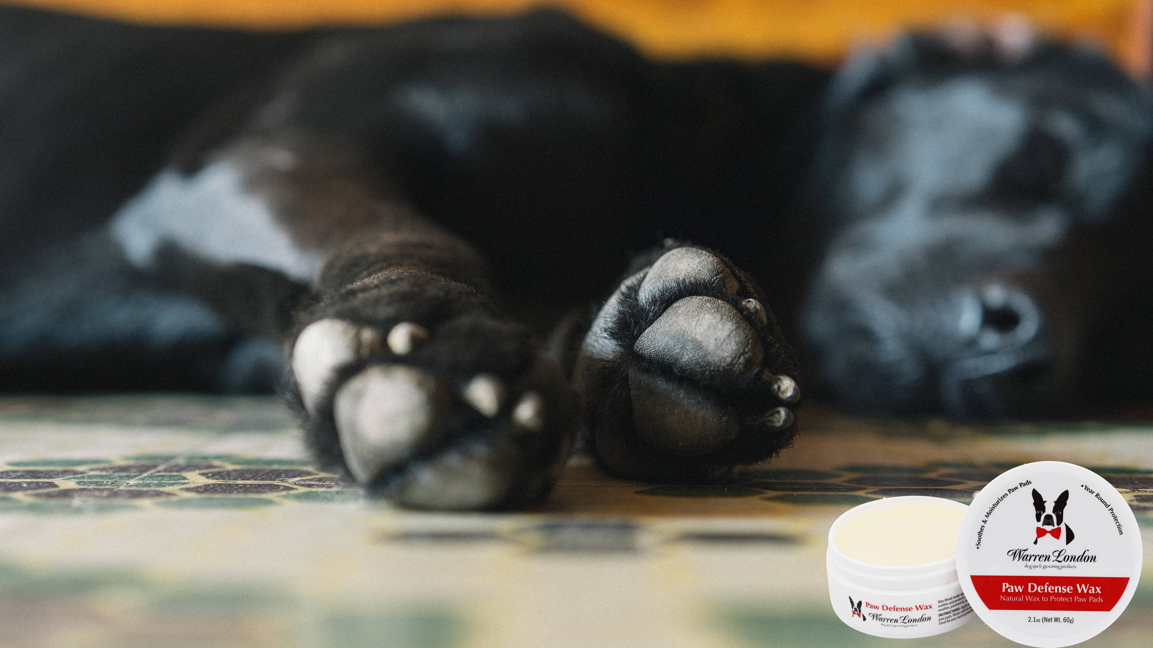 Warren London Dog Products - Paw Defense Wax - 2 oz