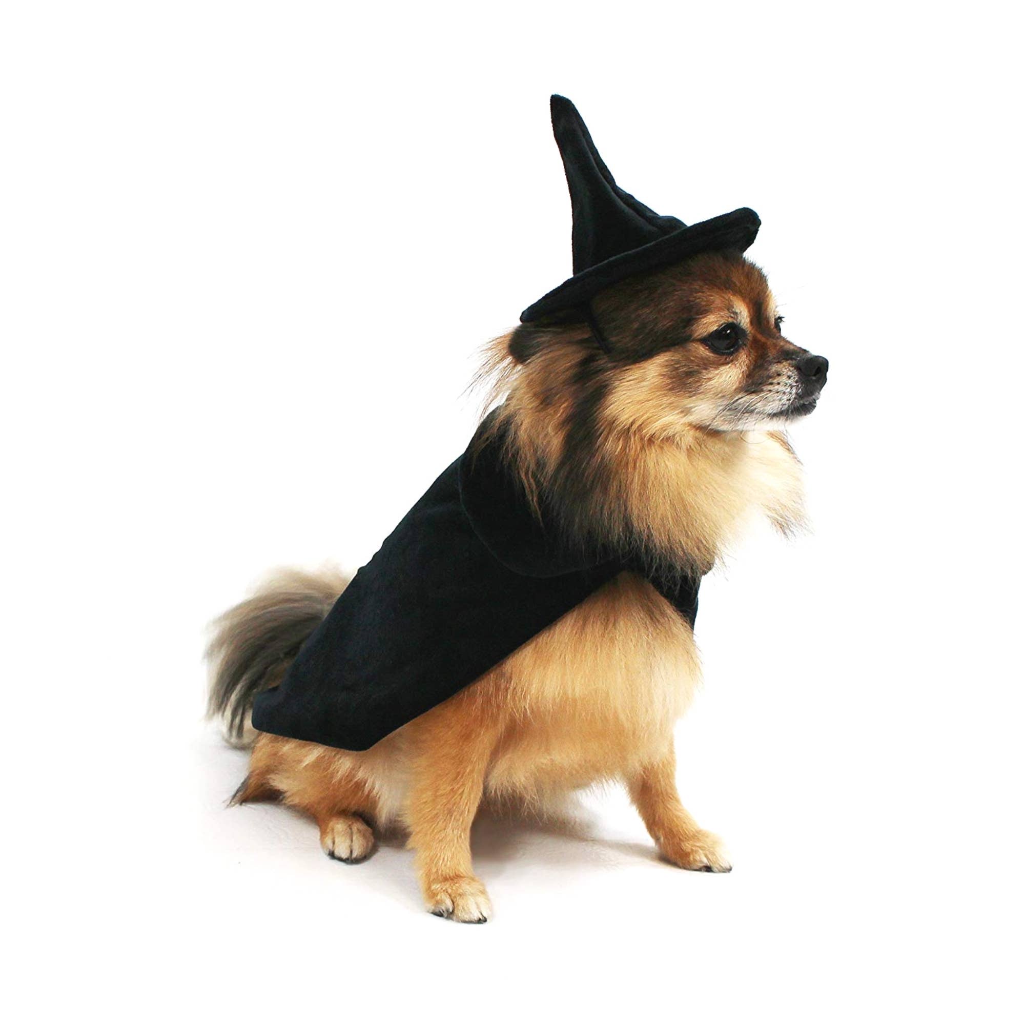 Midlee Designs - Midlee Halloween Witch Cape and Hat Dog Costume: Large