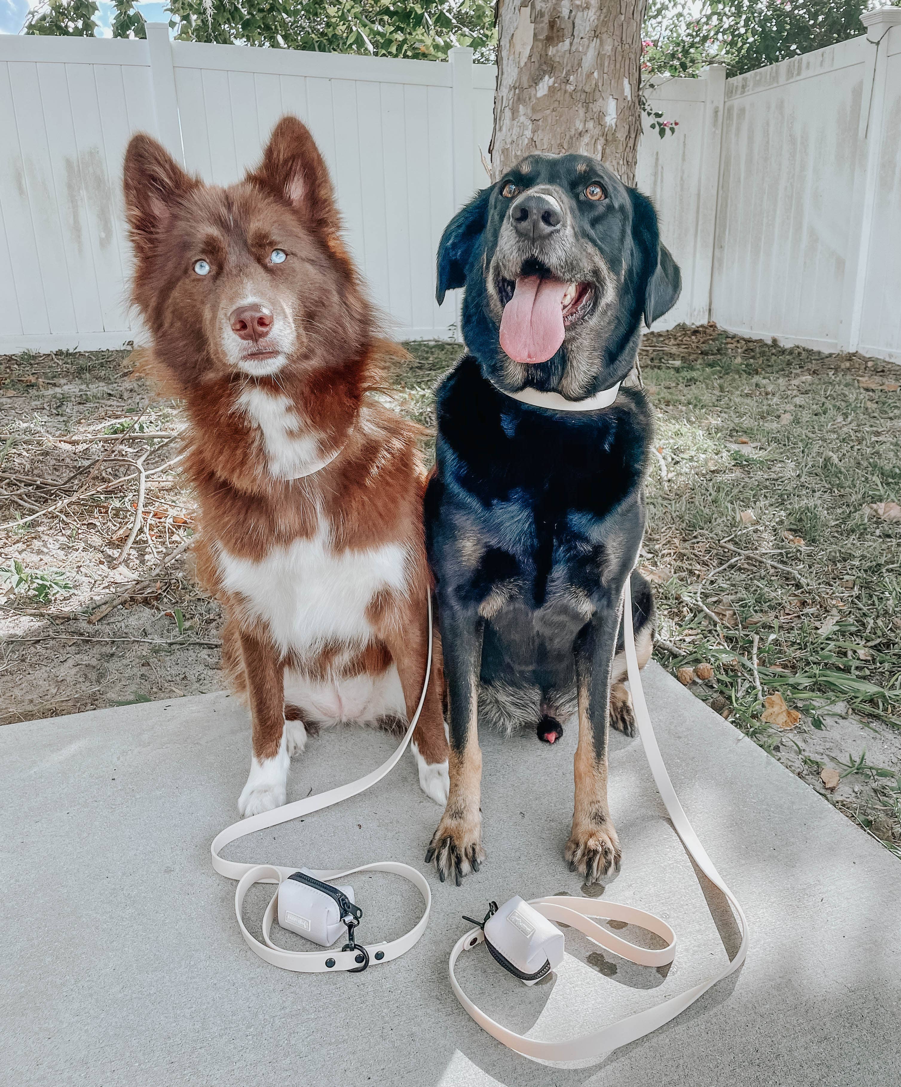 SASSY WOOF - Waterproof Dog Leash - Beige