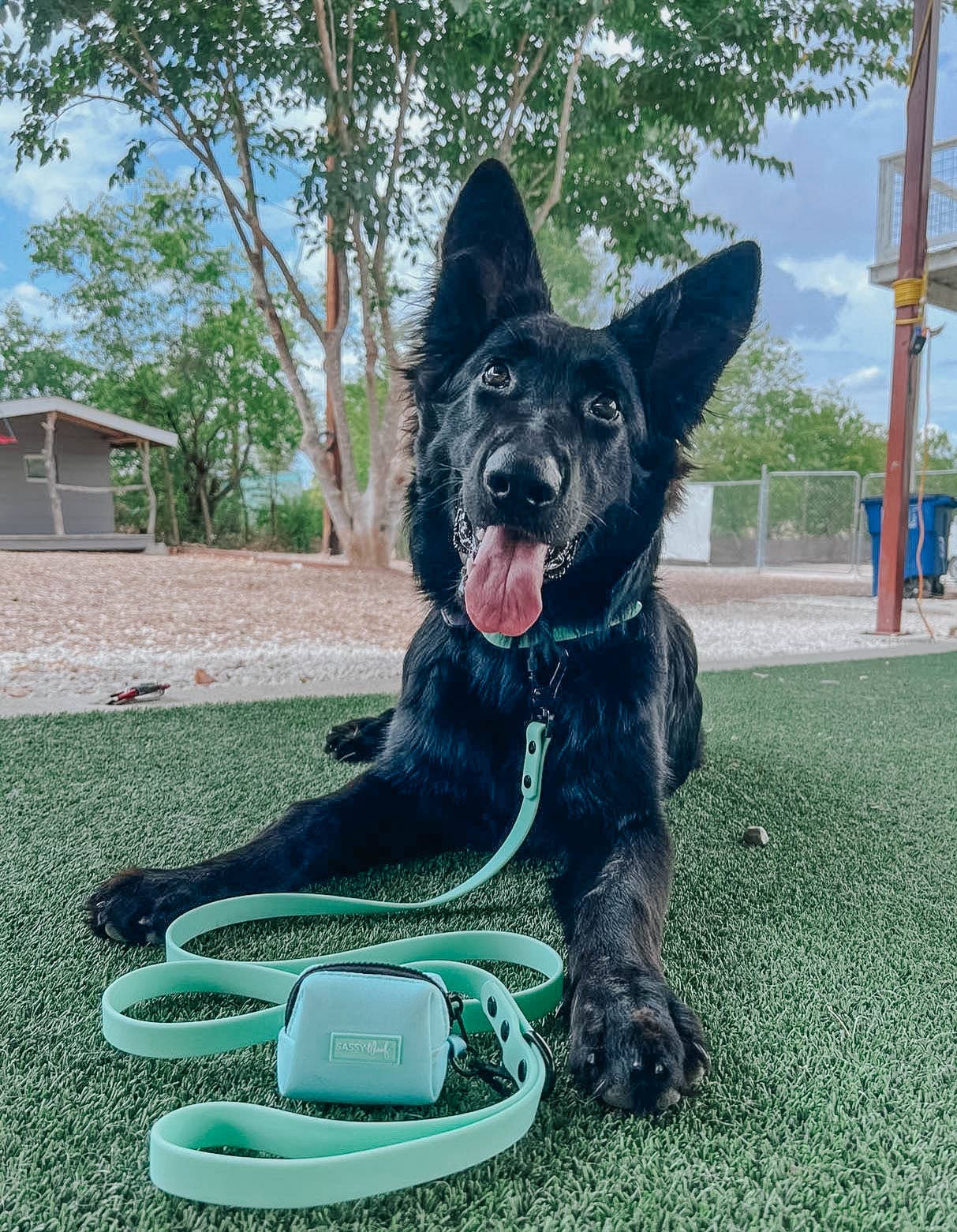 SASSY WOOF - Waterproof Dog Leash - Green