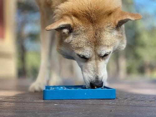SodaPup Dog Toys - Waiting Dogs Design eTray Enrichment Tray for Dogs