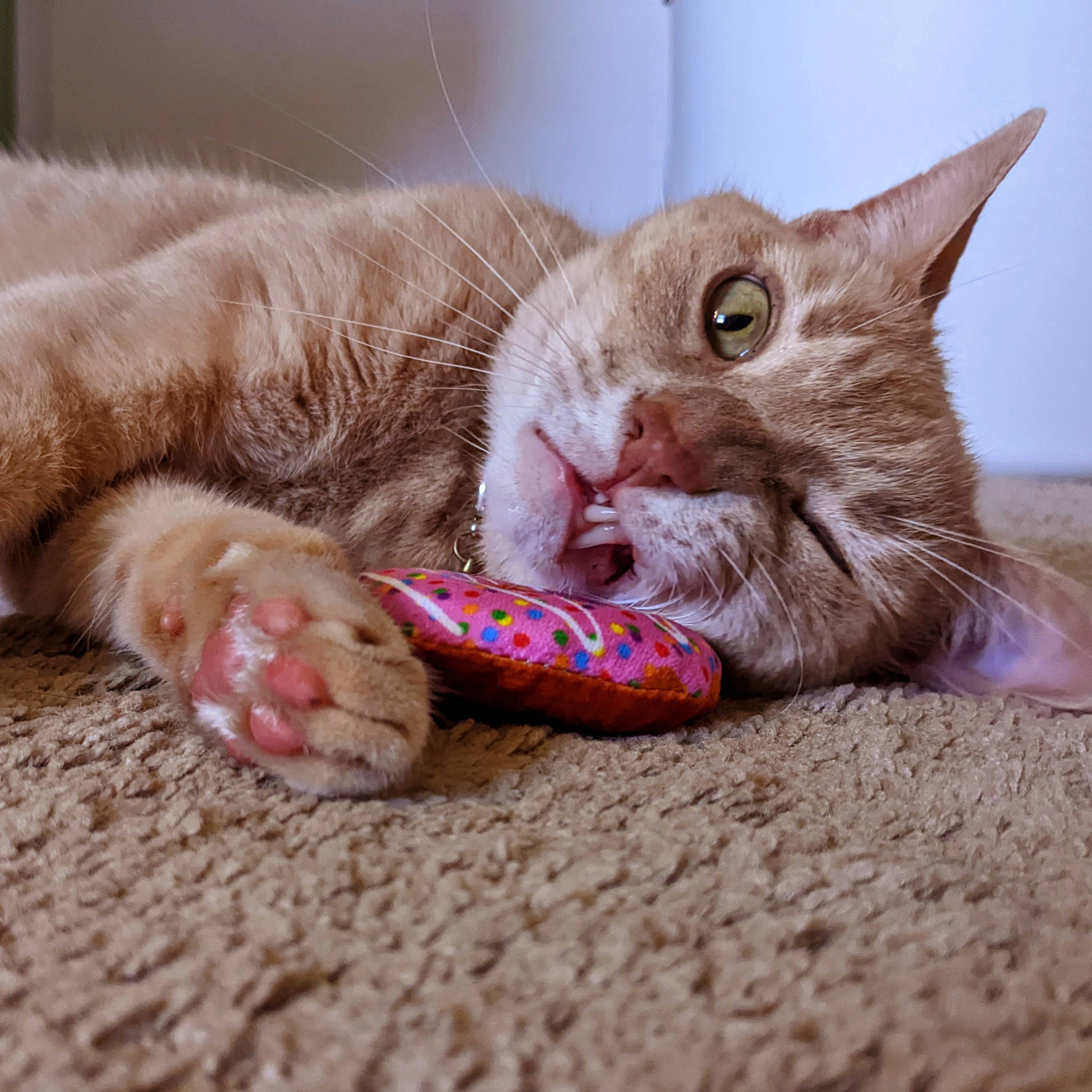 Huxley & Kent - Strawberry Donut for Cats