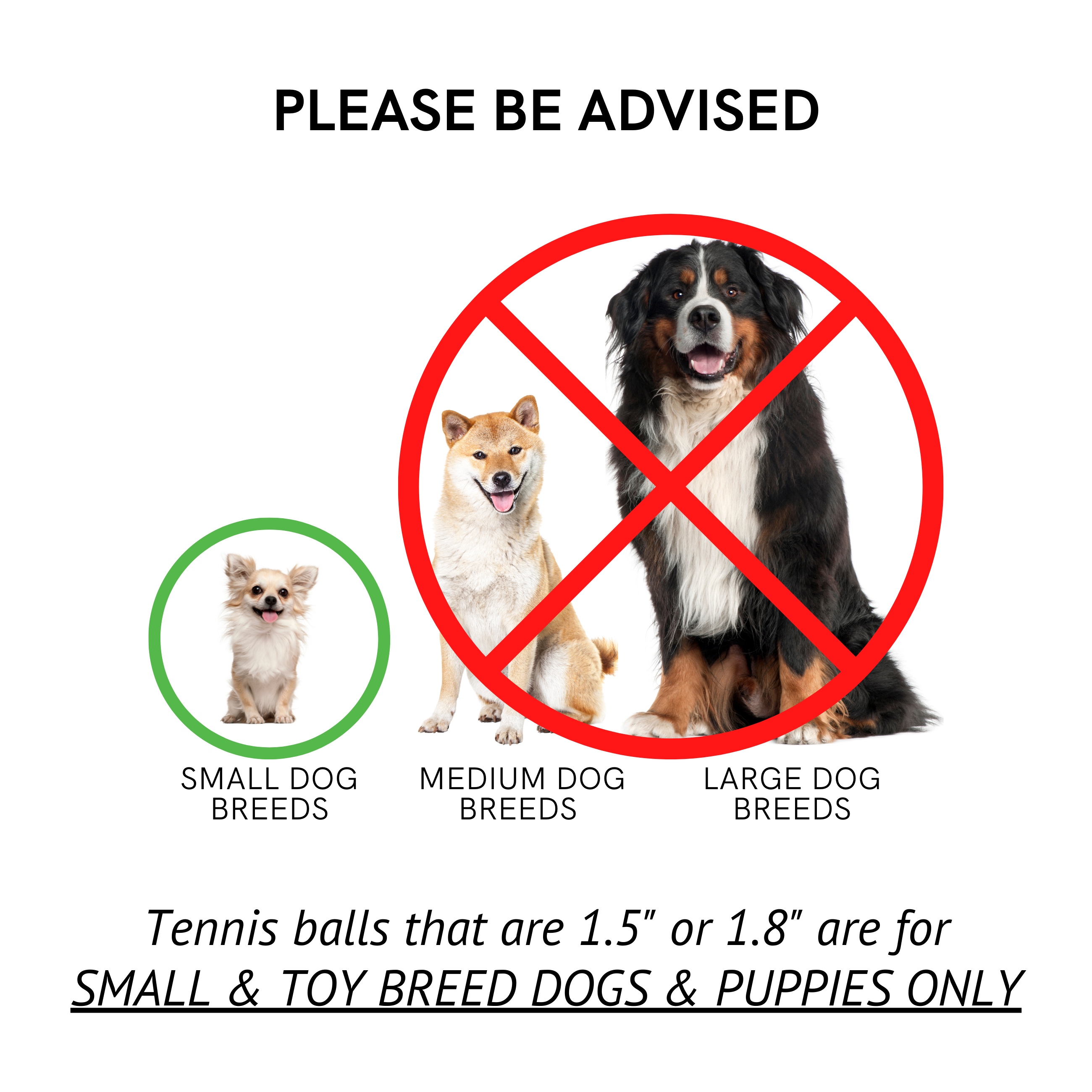 Midlee Designs - Midlee Candy Cane Dog Tennis Balls 1.5" w/ Squeaker-6pk