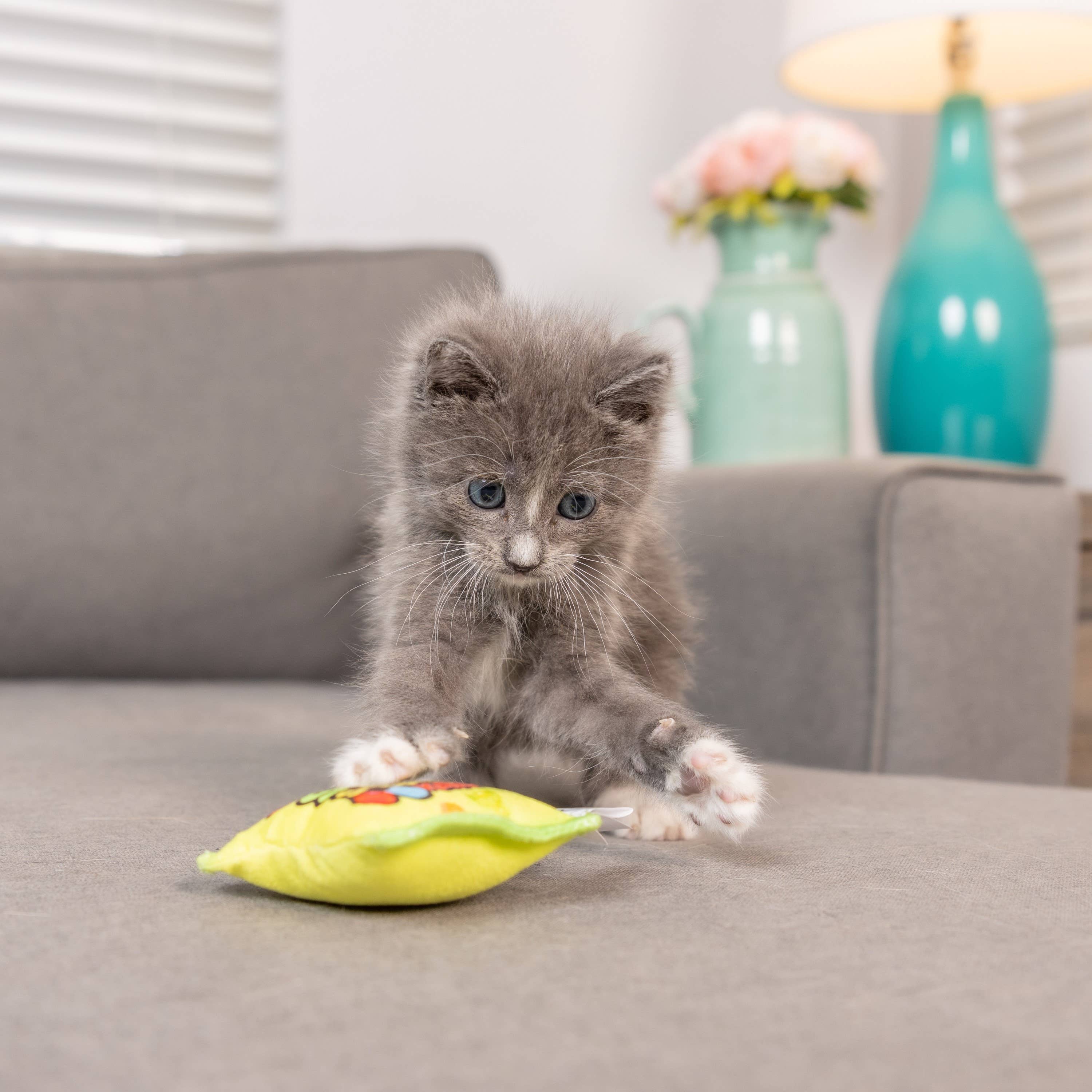 Huxley & Kent - Sour Scratch Kats Cat Toy