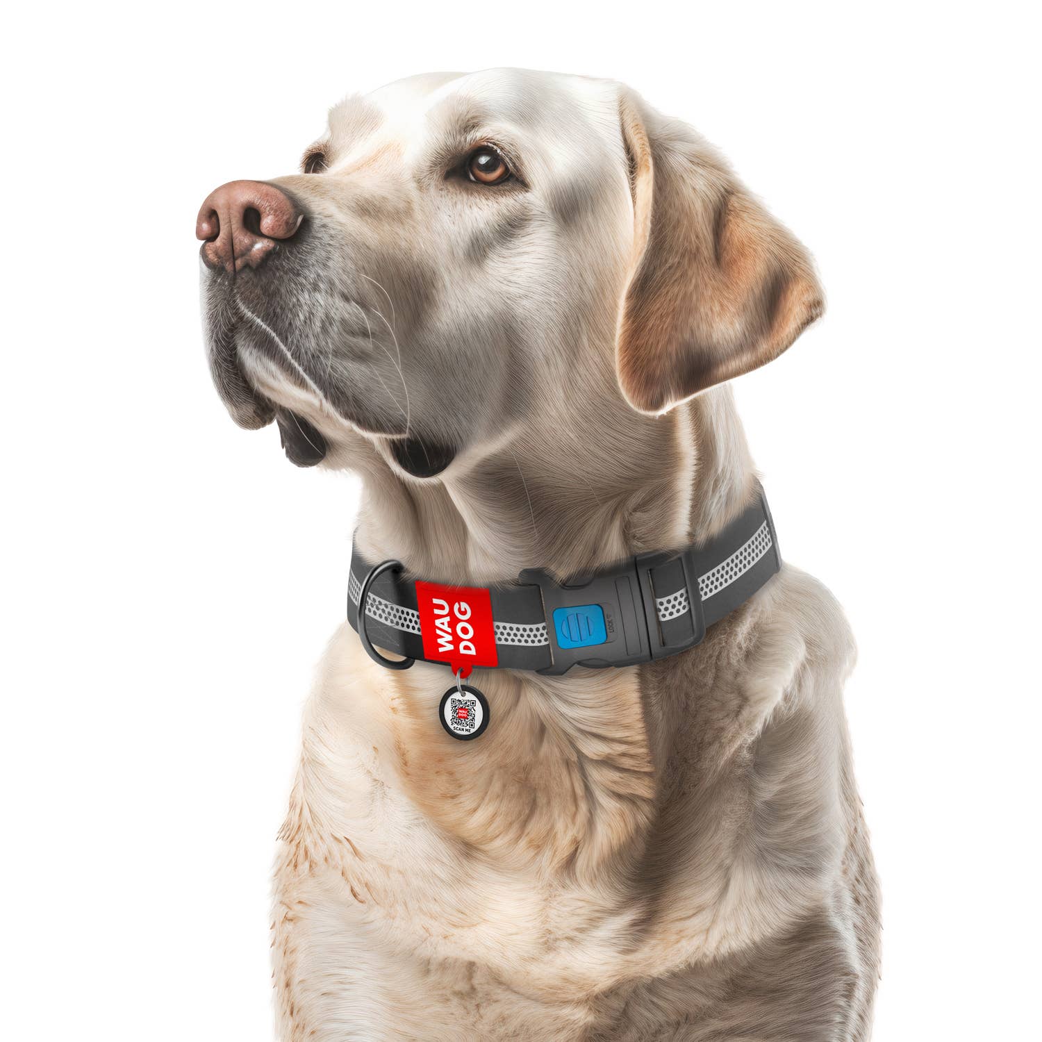 WAUDOG - Collar WAUDOG Waterproof reflective: XL / Gray / plastic buckle-fastex