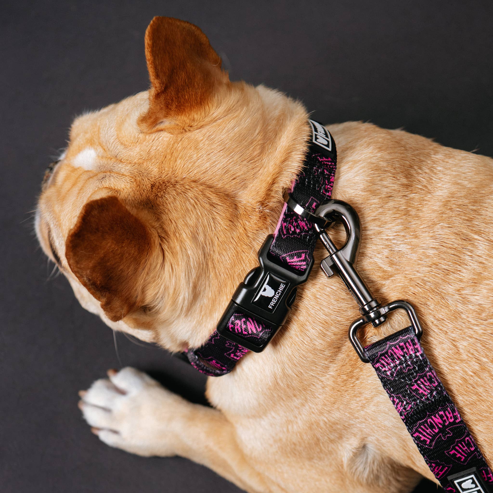 Frenchie - Frenchie Comfort Collar - Super Pig (Pink)