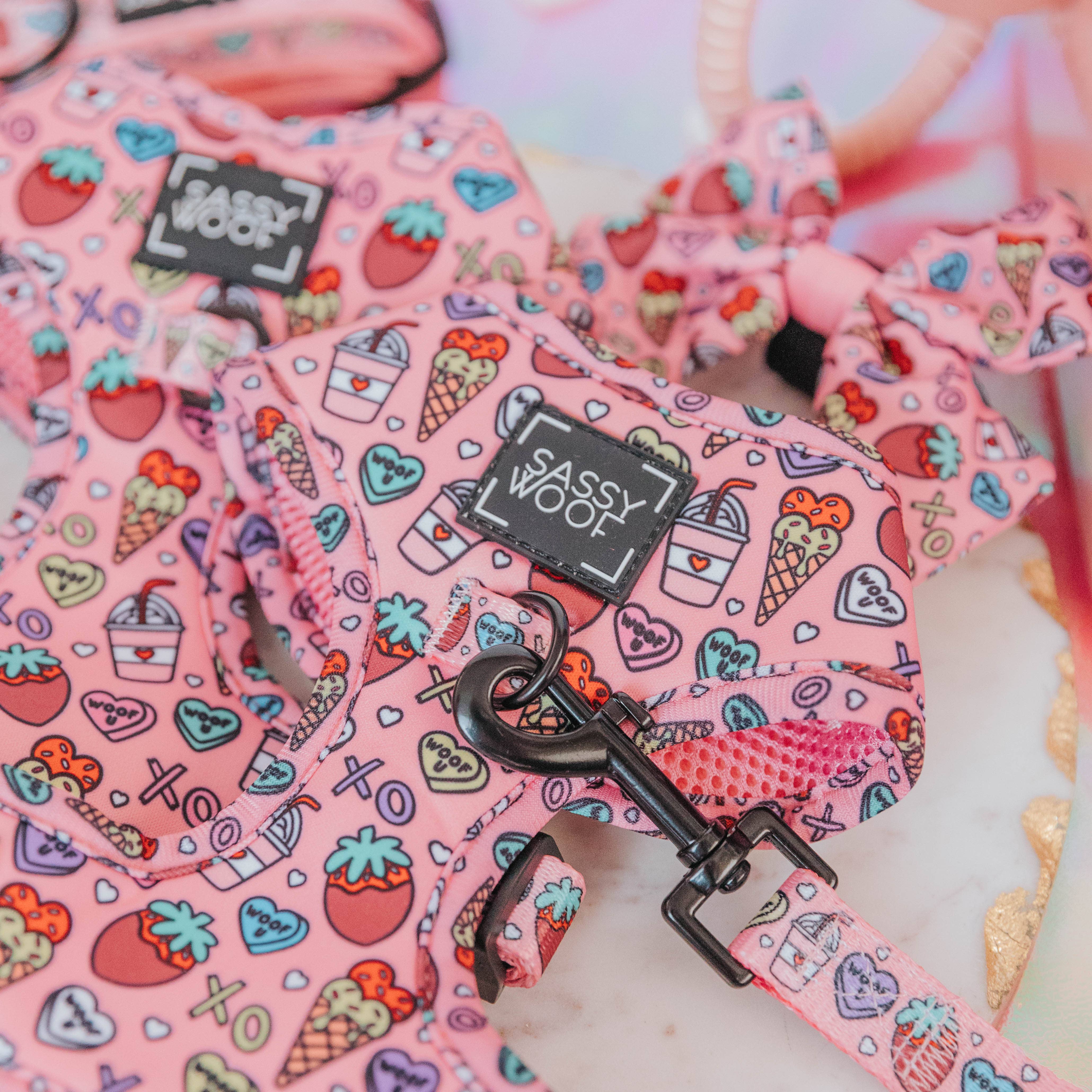 SASSY WOOF - Dog Adjustable Harness - I Chews You: Large