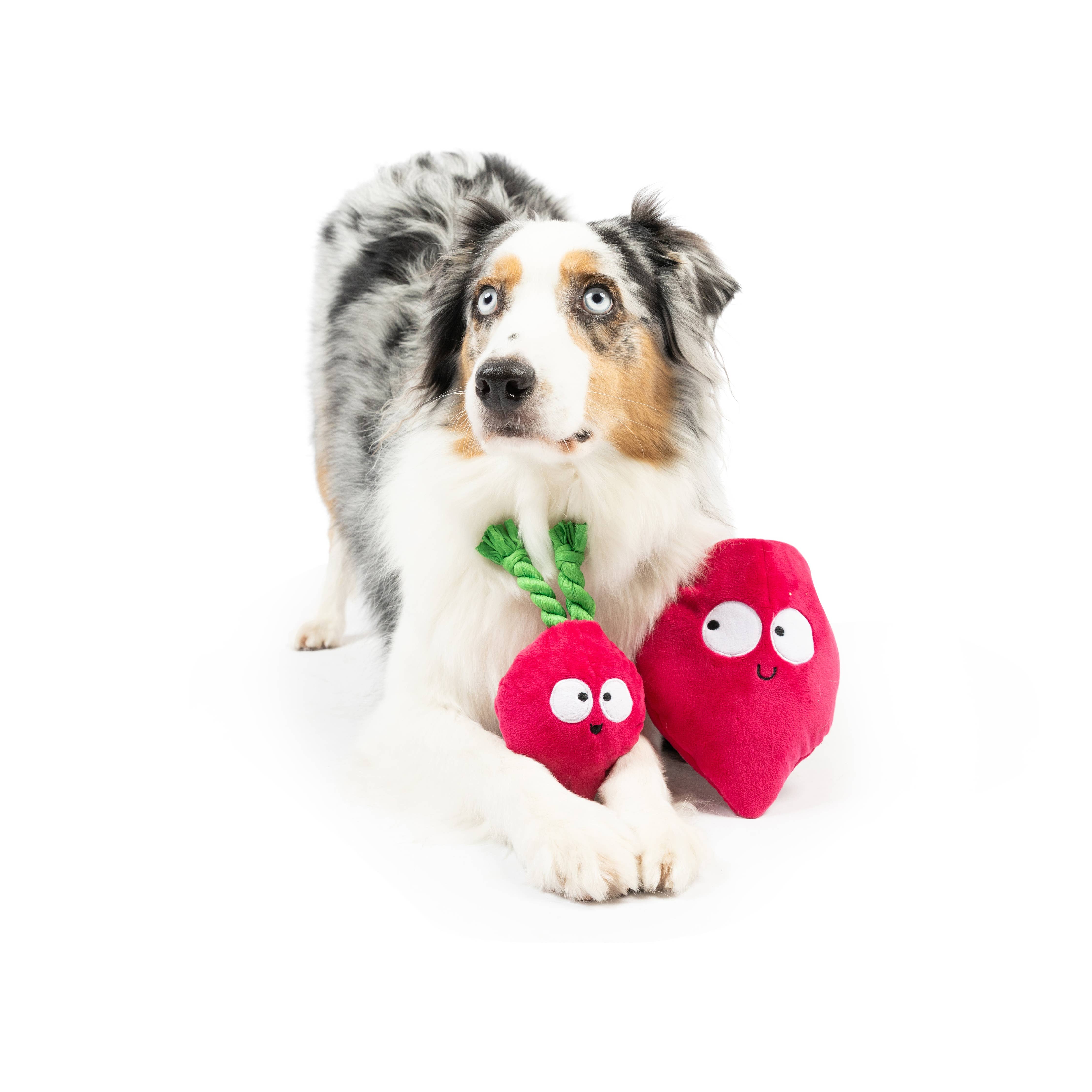 Huxley & Kent - Pop 'n Fetch Beet Dog Toy: Small