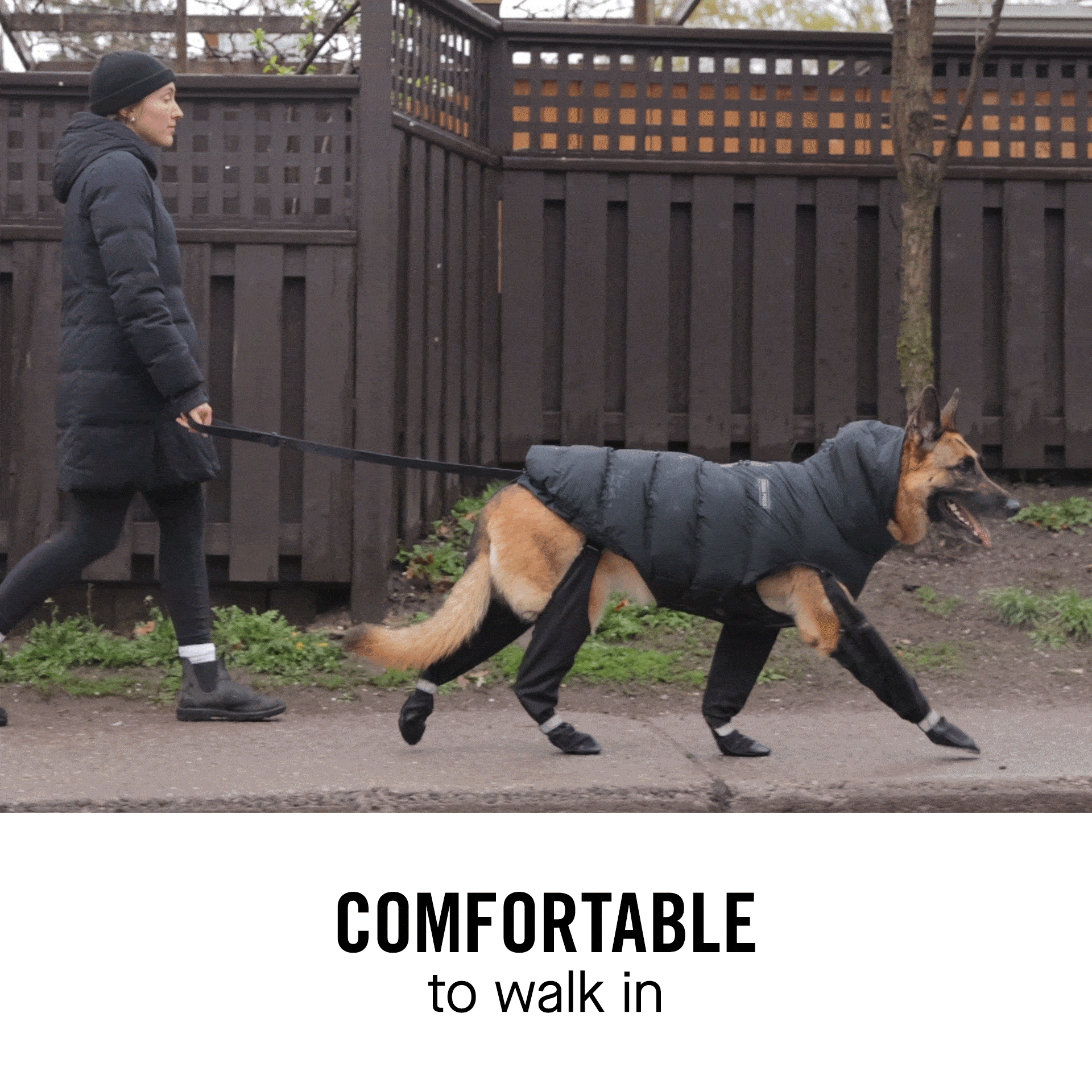 Canada Pooch - Suspender Boots- Dog Boots: Black / 3