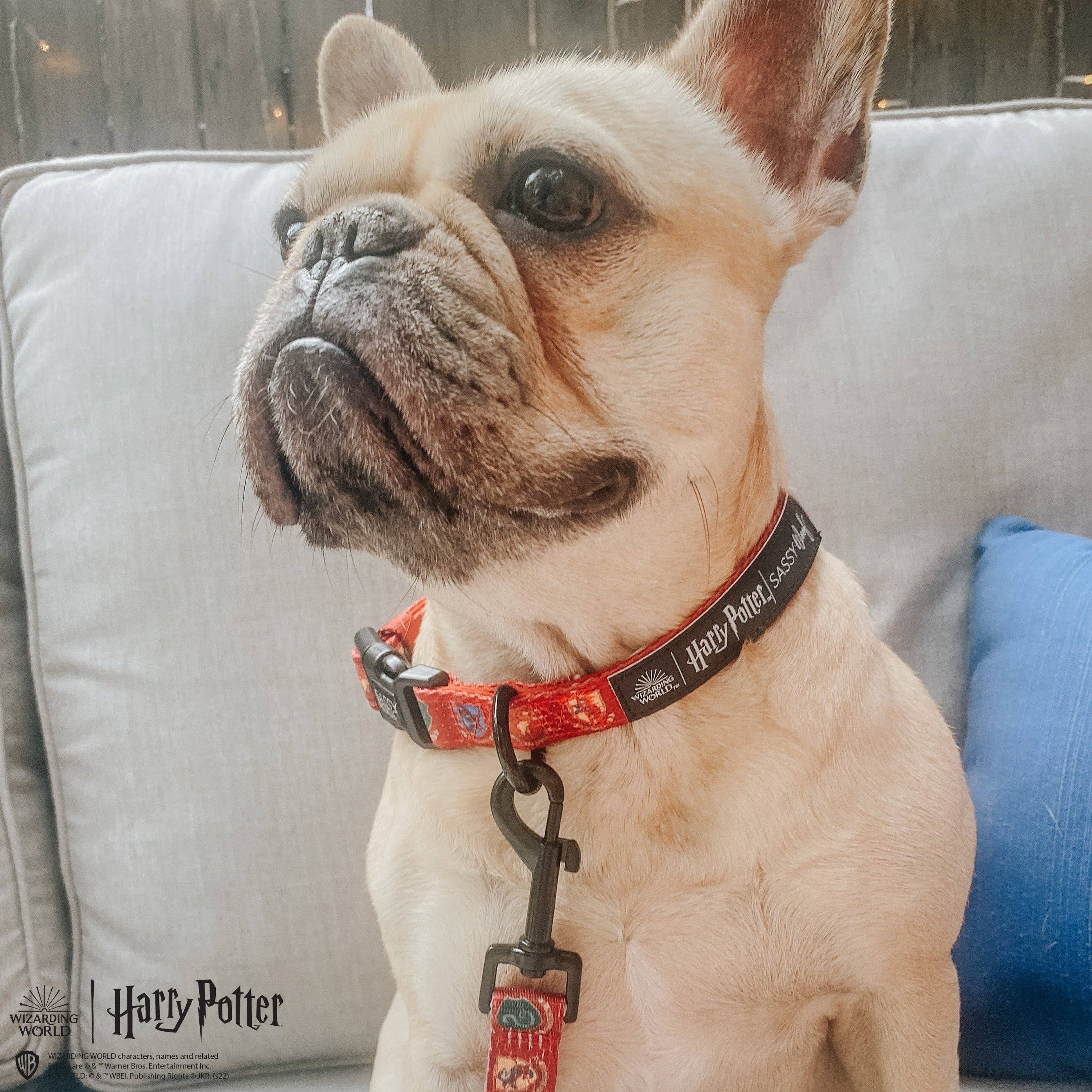 SASSY WOOF - Dog Collar - Harry Potter™: Small