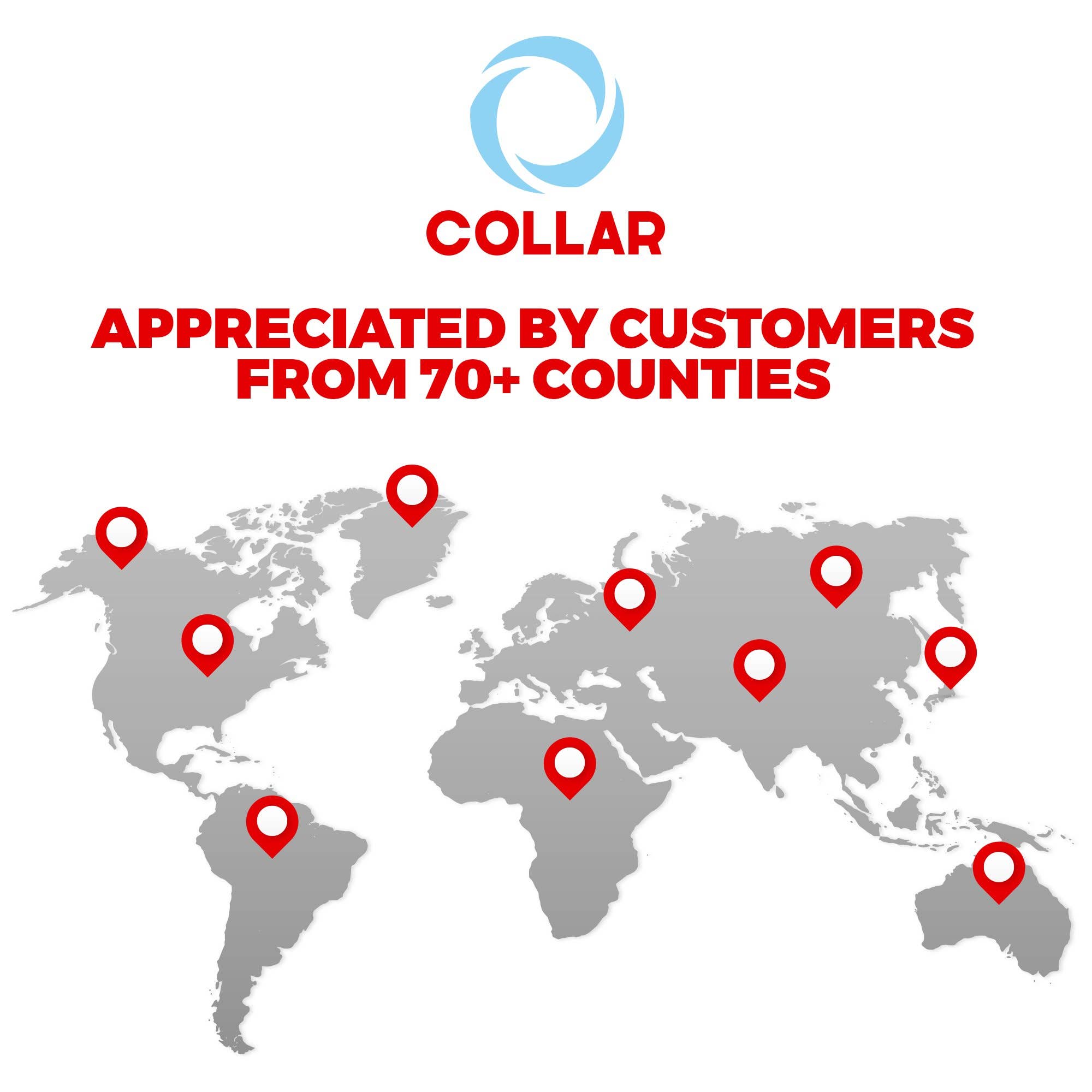 WAUDOG - Glamour Reinforced Rolled Leather Collar With Metal Clasp: M 19 in / Black