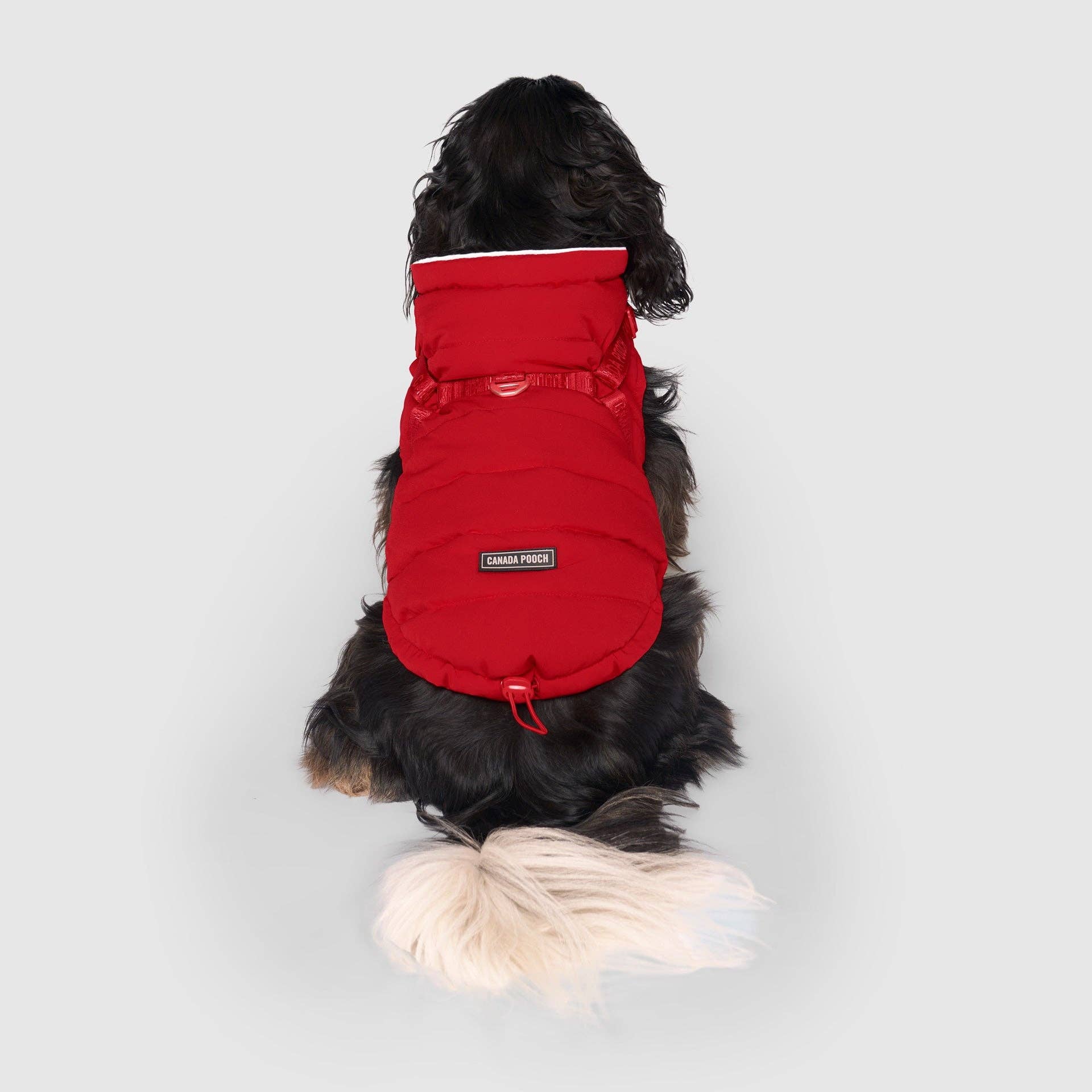 Canada Pooch - Harness Puffer- Dog Coat: Forest Green / 10