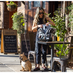 URBAN 3 Backpack Dog Carrier: Medium (17"-20" from collar to tail) / Concrete