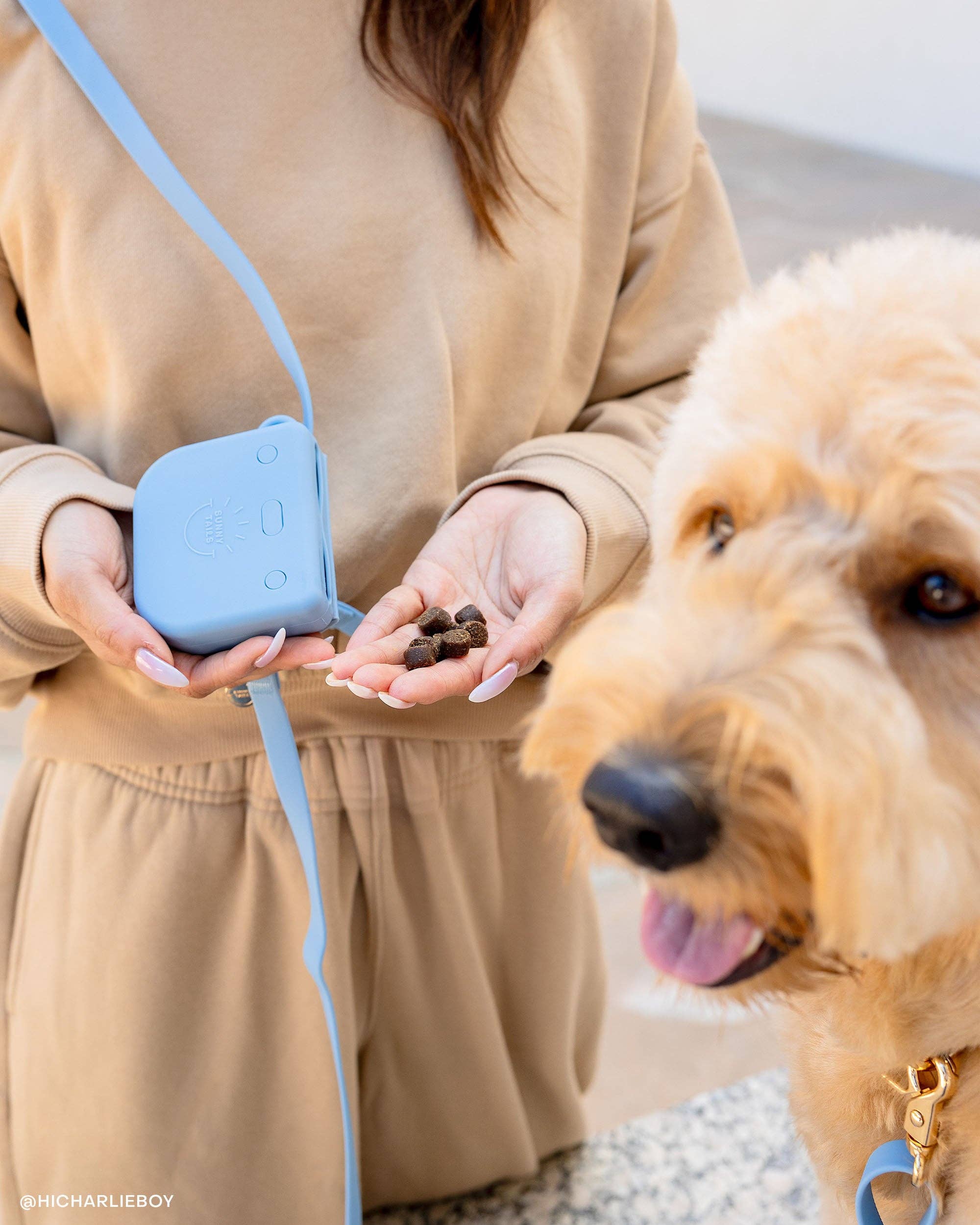 SUNNY TAILS - Ember Black Snap Dog Treat Pouch