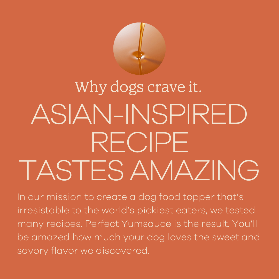 Yumwoof Natural Pet Food - Perfect Yumsauce