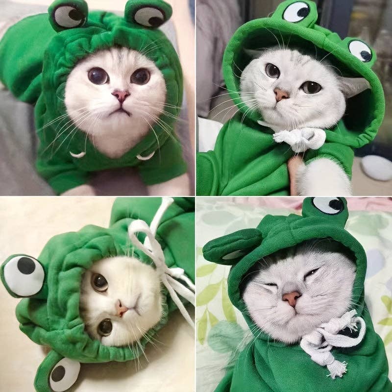 Adorable Frog-Themed PET Hoodie For Small Breeds - Cozy Knit Pullover With Drawstring, Perfect For All Seasons: Green / L