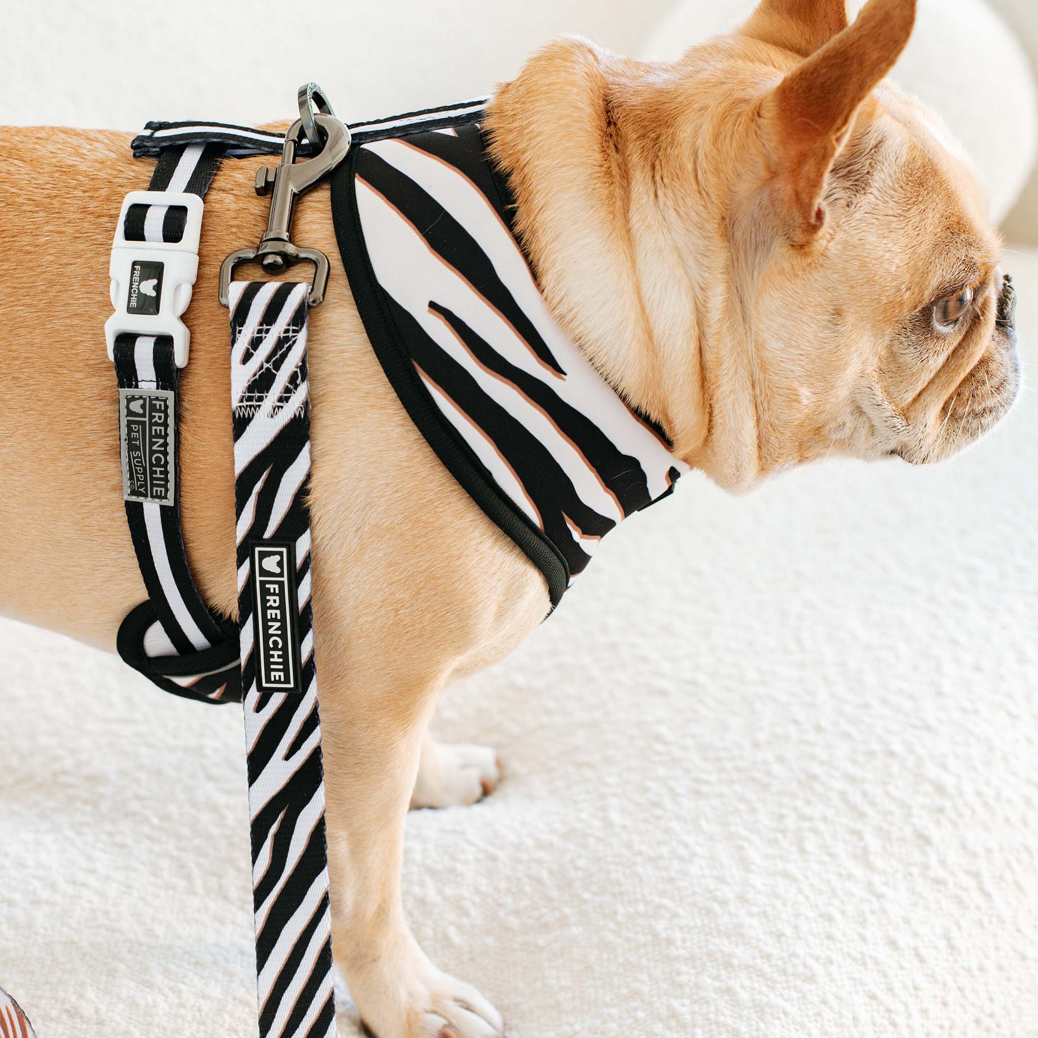 Frenchie - Frenchie Duo Reversible Harness - Zebra: Xlarge