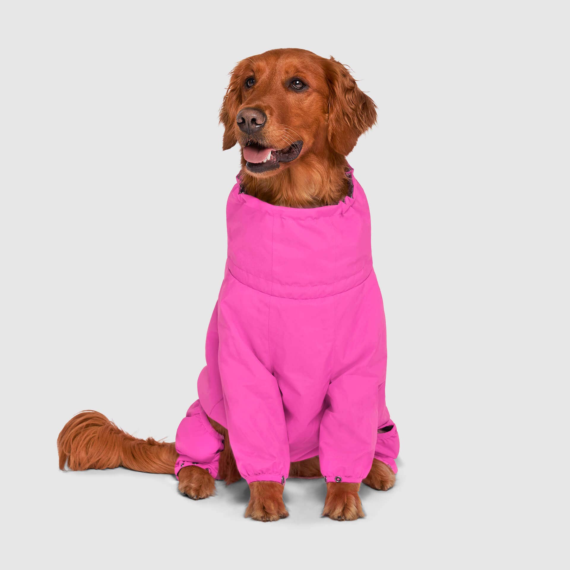 Canada Pooch - The Snow Suit- Dog Suit: Black / 16