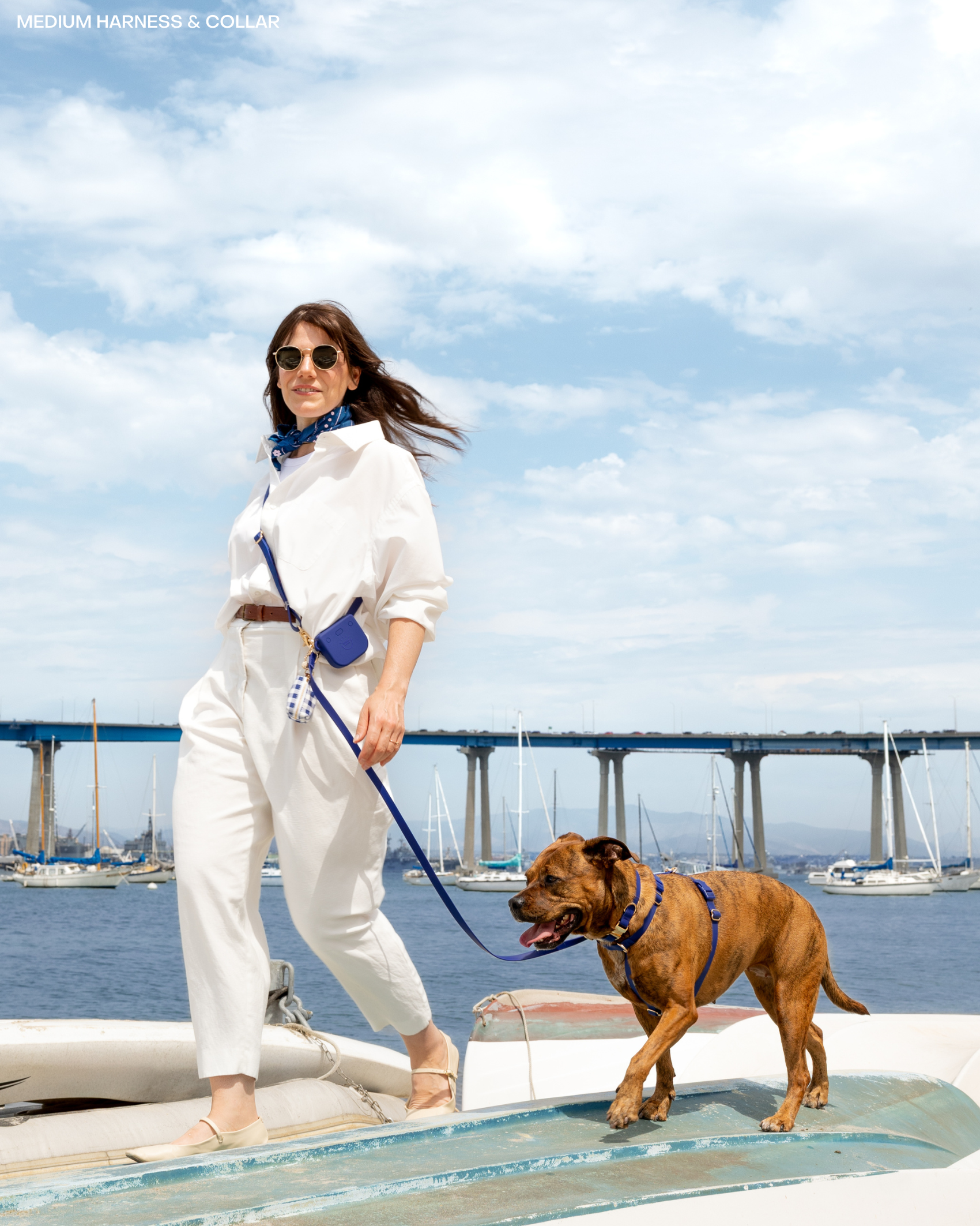 SUNNY TAILS - Signature Navy Waterproof Dog Collar: MEDIUM