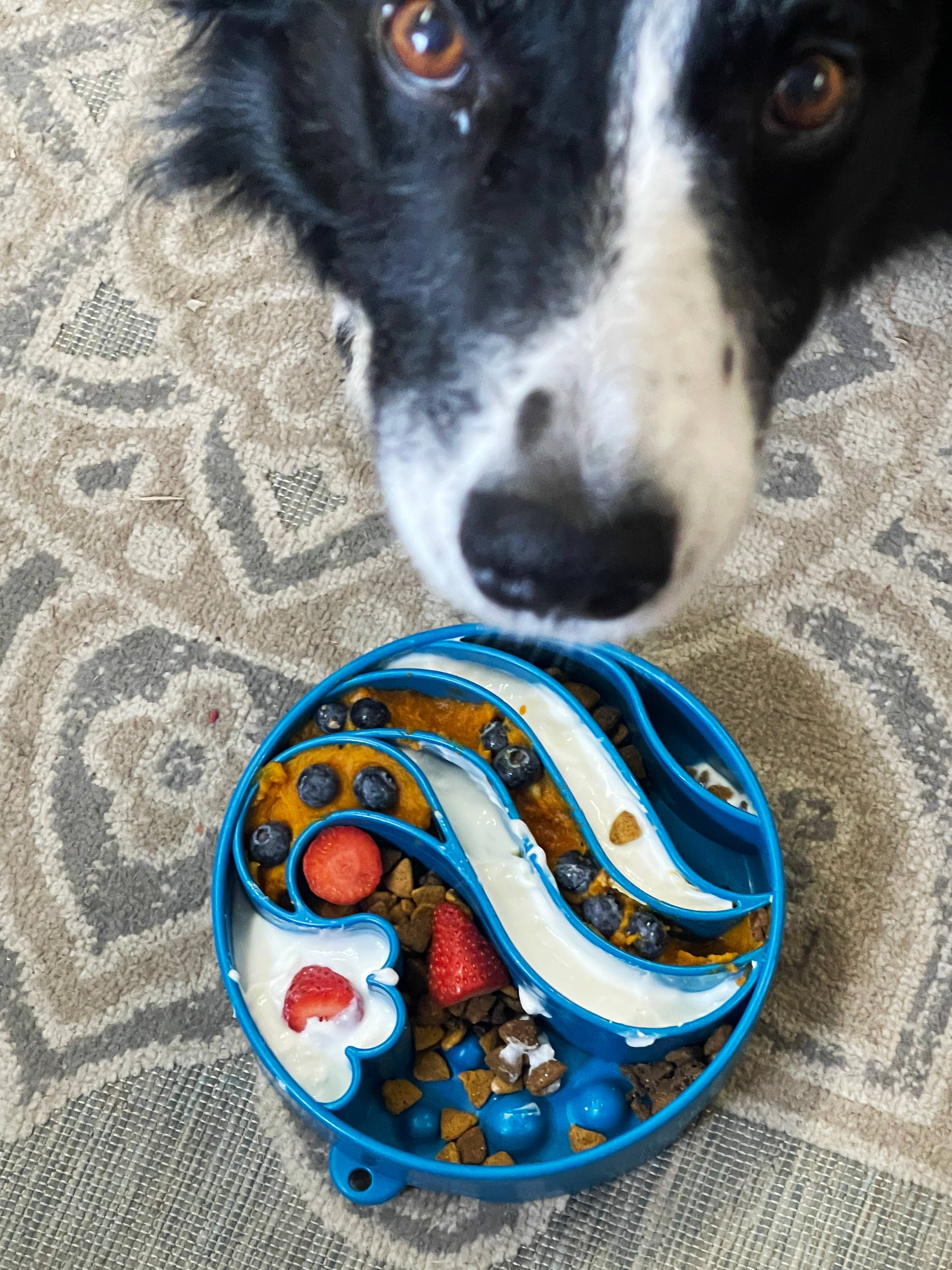 SodaPup Dog Toys - Wave Design eBowl Enrichment Slow Feeder Bowl for Dogs