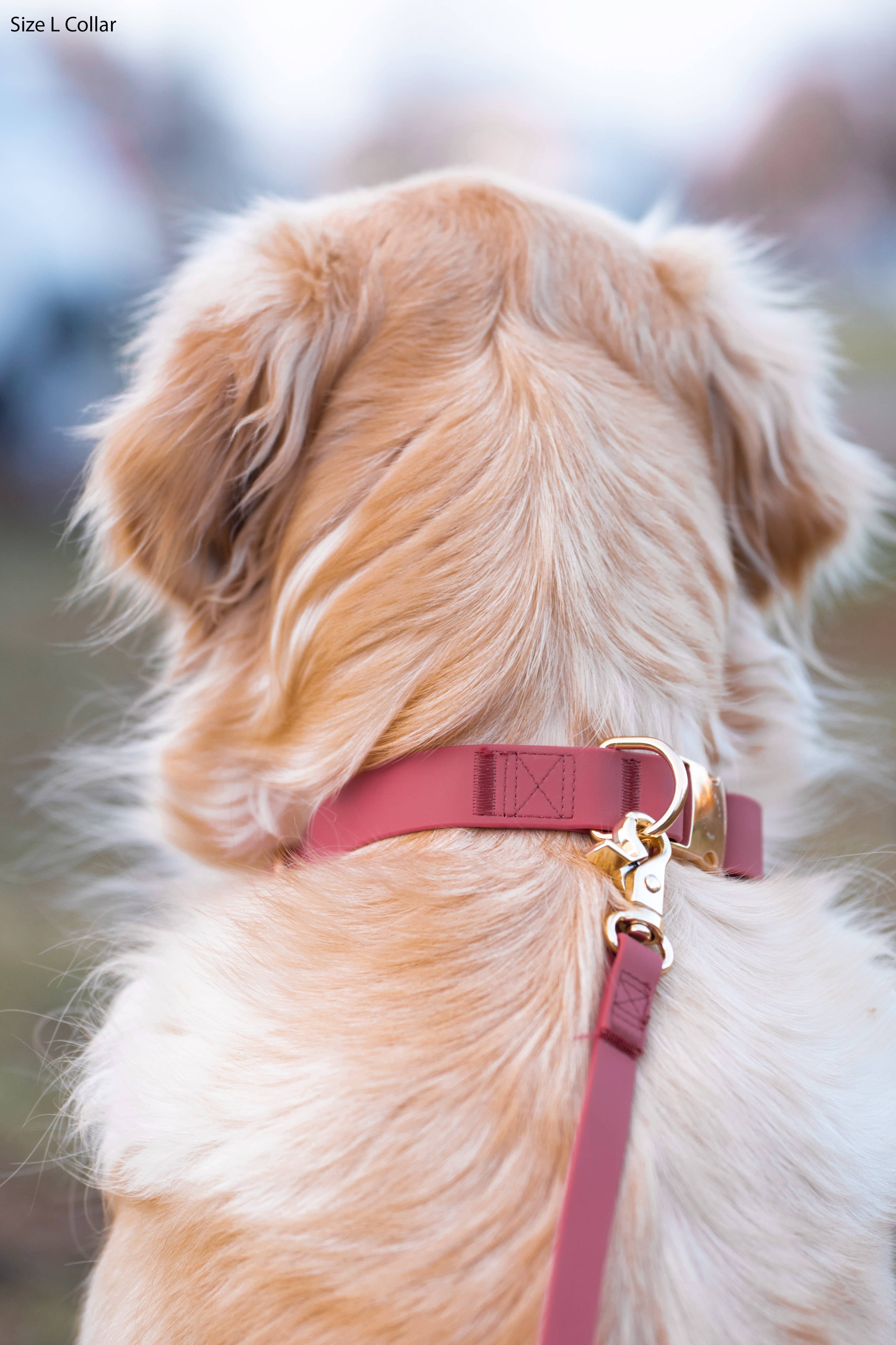 SUNNY TAILS - Mulberry Burgundy Waterproof Dog Collar: SMALL