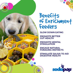 SodaPup Dog Toys - Honeycomb Design eBowl Enrichment Slow Feeder Bowl for Dogs: Blue