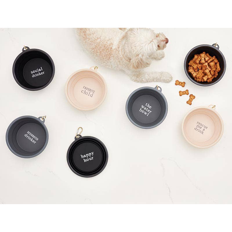 Santa Barbara Design Studio by Creative Brands - Large Collapsible Bowl - Designated