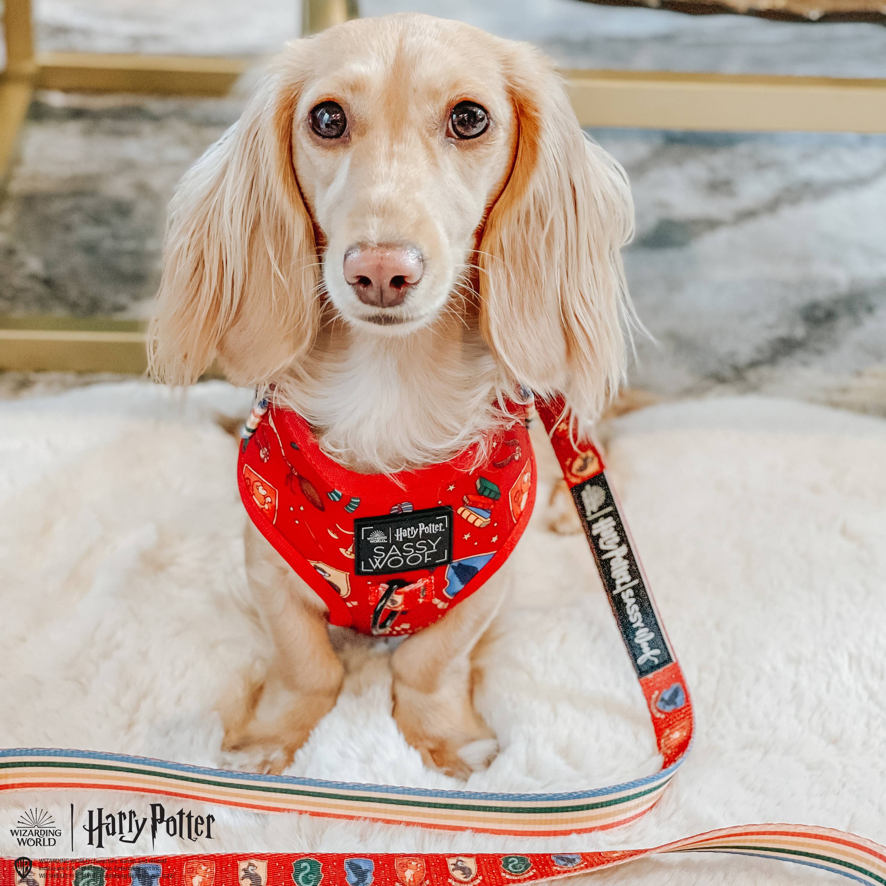 SASSY WOOF - Dog Adjustable Harness - Harry Potter: XS