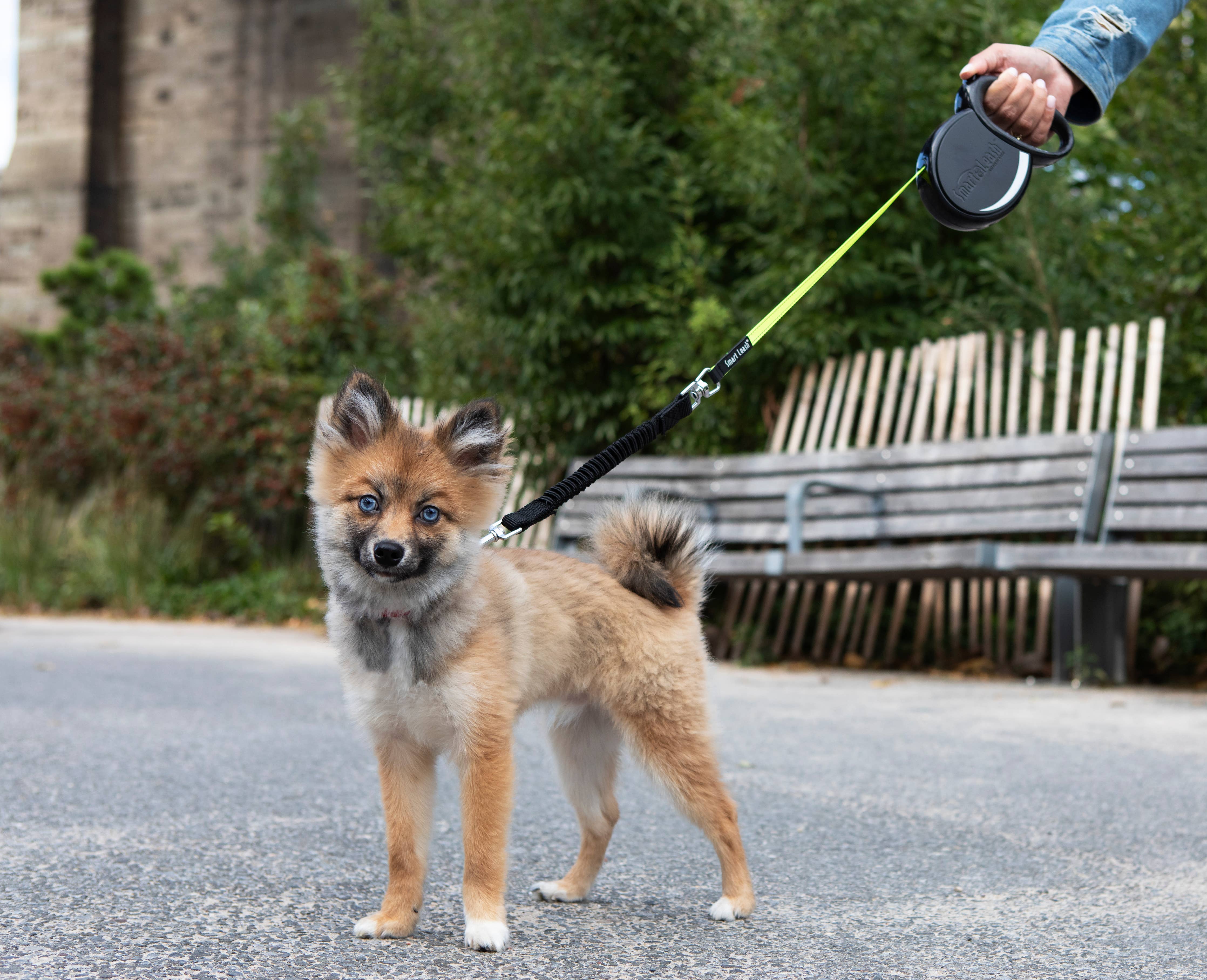 SmartLeash®: MEDIUM: Up to 40lbs / 18kg (14 ft length) / Black