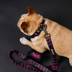 Frenchie - Frenchie Comfort Collar - Super Pig (Pink)