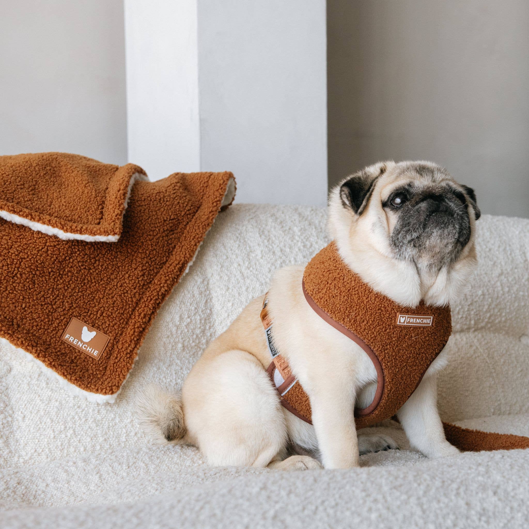 Frenchie - Frenchie Duo Reversible Harness - Teddy Brown: XS