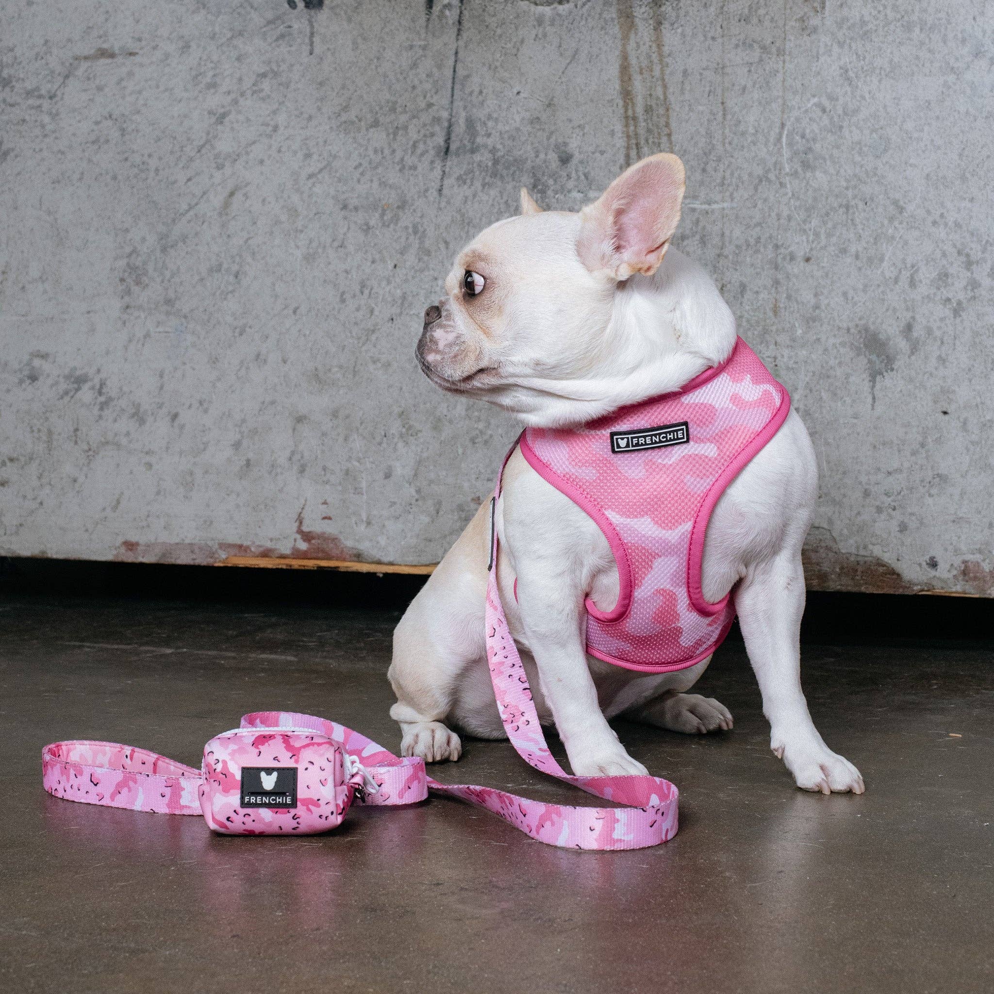 Frenchie - Frenchie Duo Reversible Harness - Desert Camo (Pink): XS