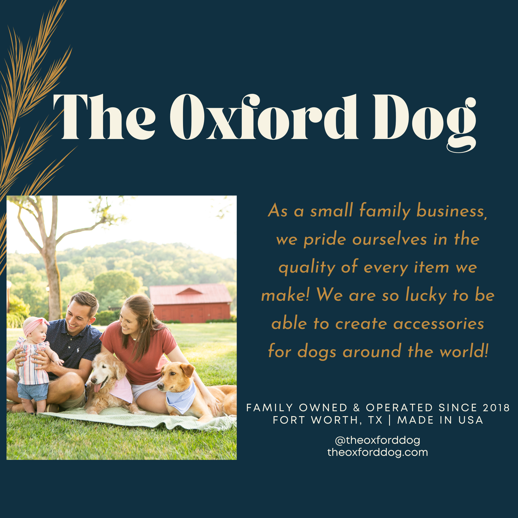 The Oxford Dog - Dog Leash | Matching Dog Leash | Dog Lead | 6 Foot Dog Leash: 3/4