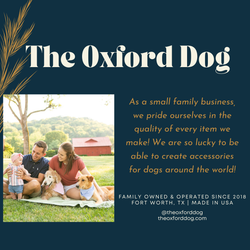 The Oxford Dog - Pink Dog Collar, Girl Dog Collar, Pink Ditsy Dots Dog Collar: Silver / XLARGE