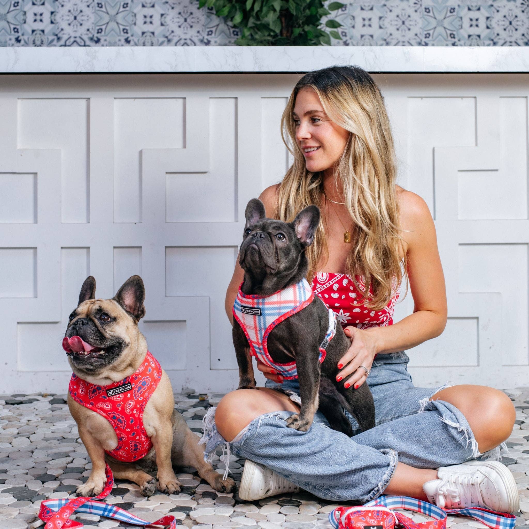 Frenchie - Frenchie Duo Reversible Harness - Red, White, and Paisley: M