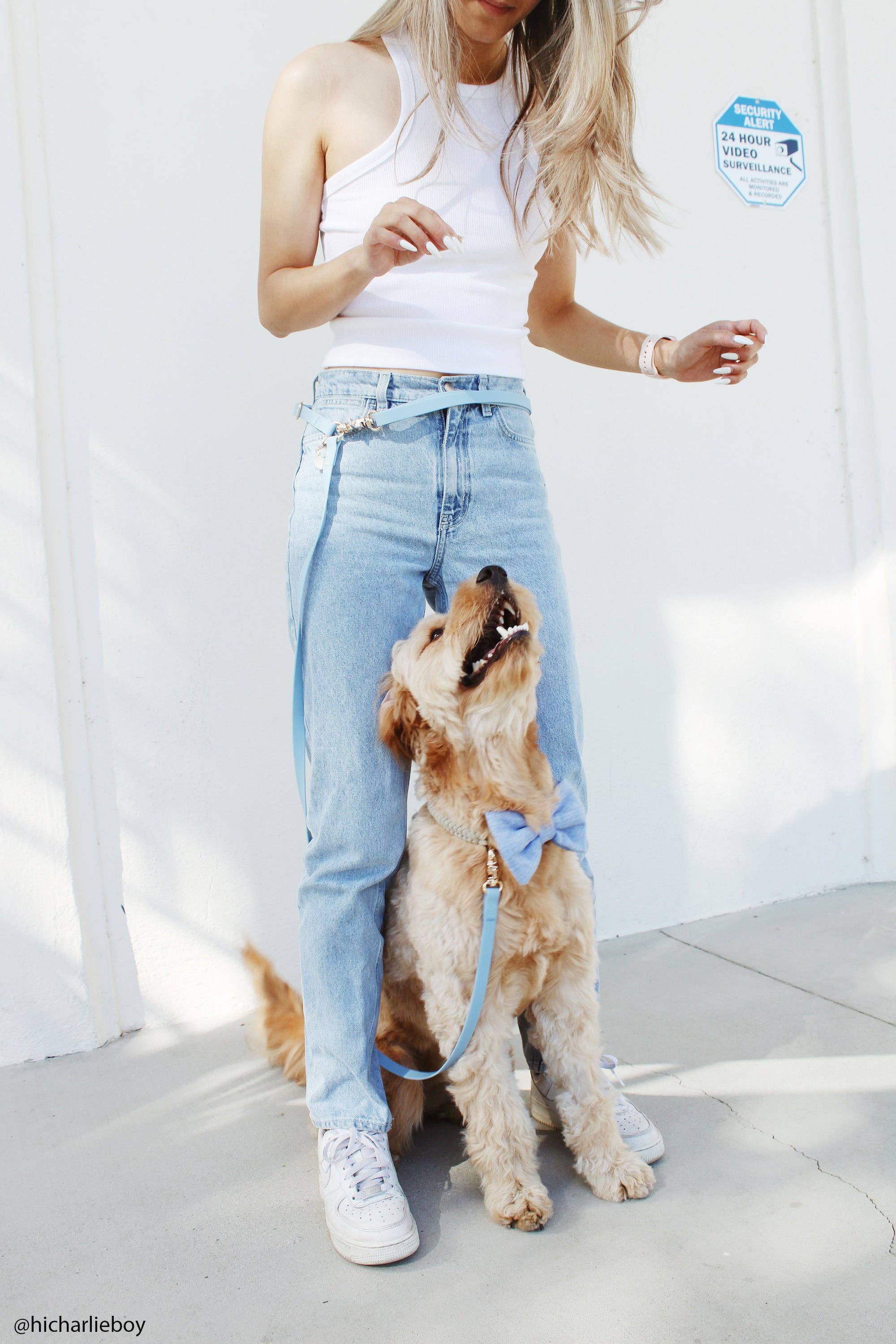 SUNNY TAILS - Chai Brown 4-in-1 Convertible Hands Free Cloud Dog Leash: Standard