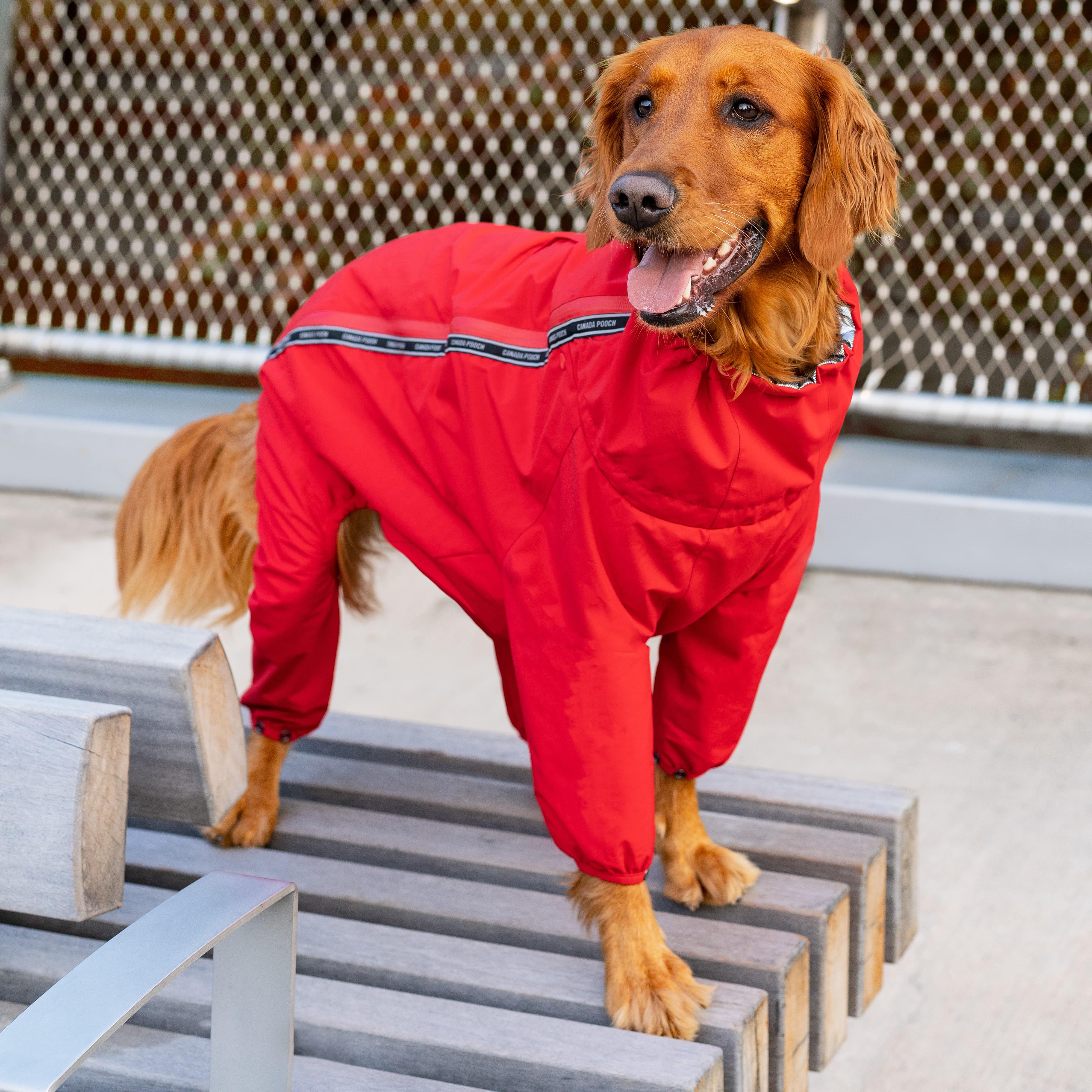 Canada Pooch - The Snow Suit- Dog Suit: Black / 20