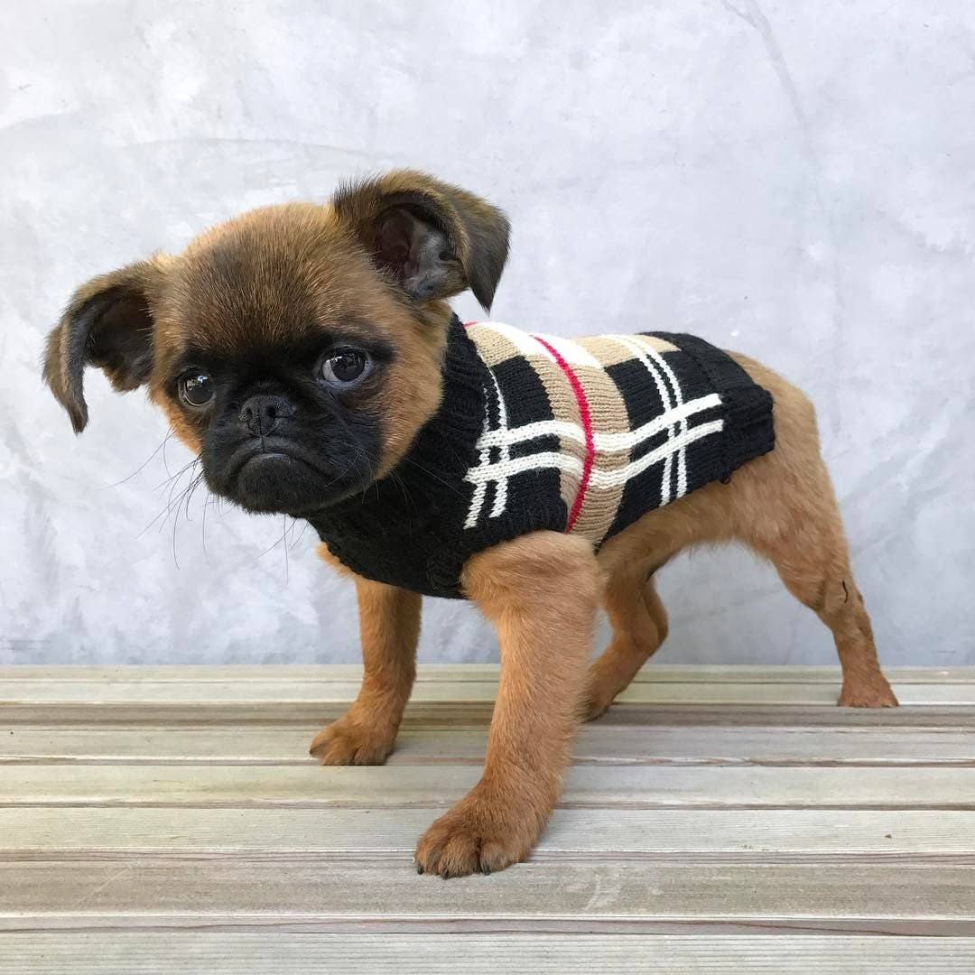 fabdog - Plaid Dog Sweater: 8 