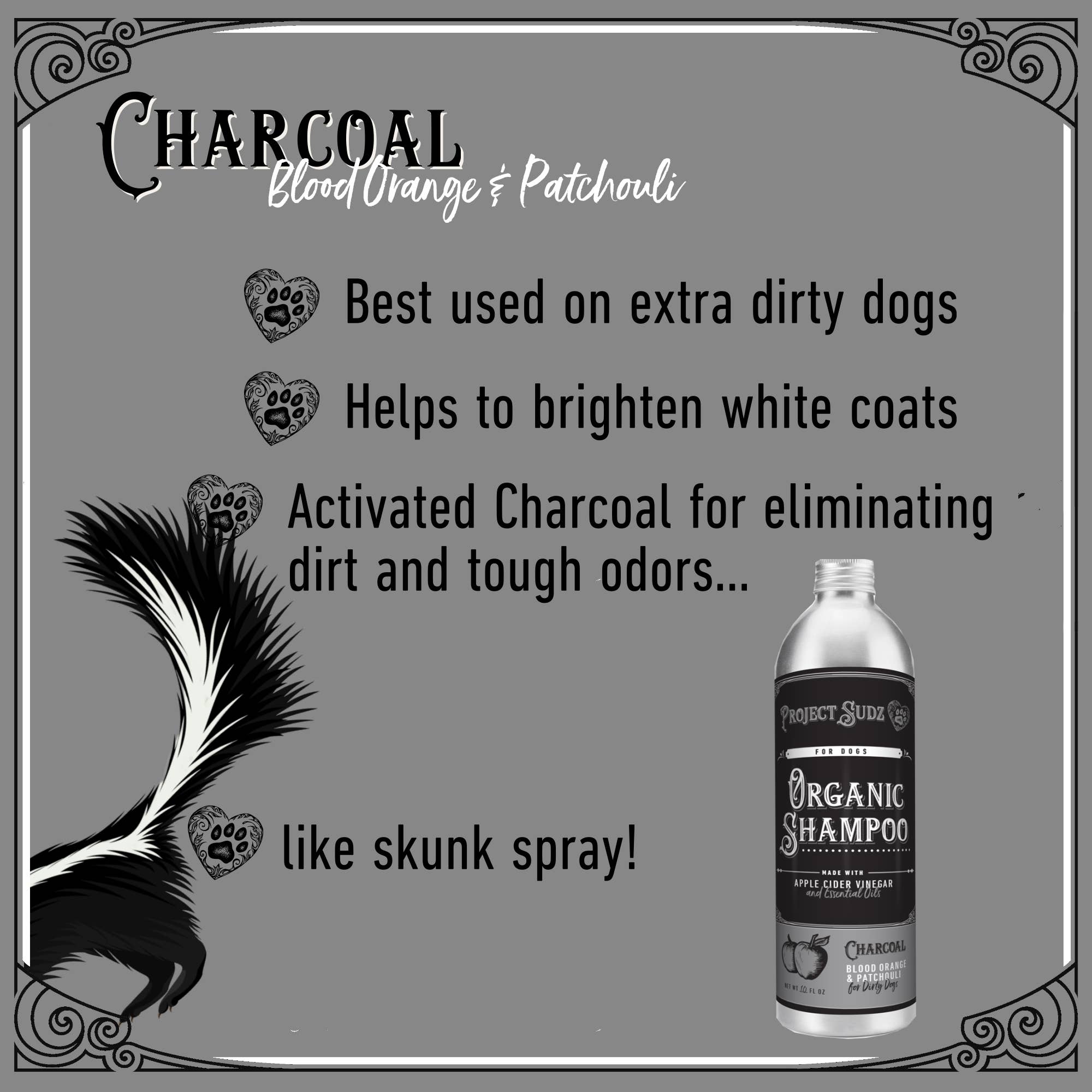 Charcoal Liquid Shampoo | Project Sudz