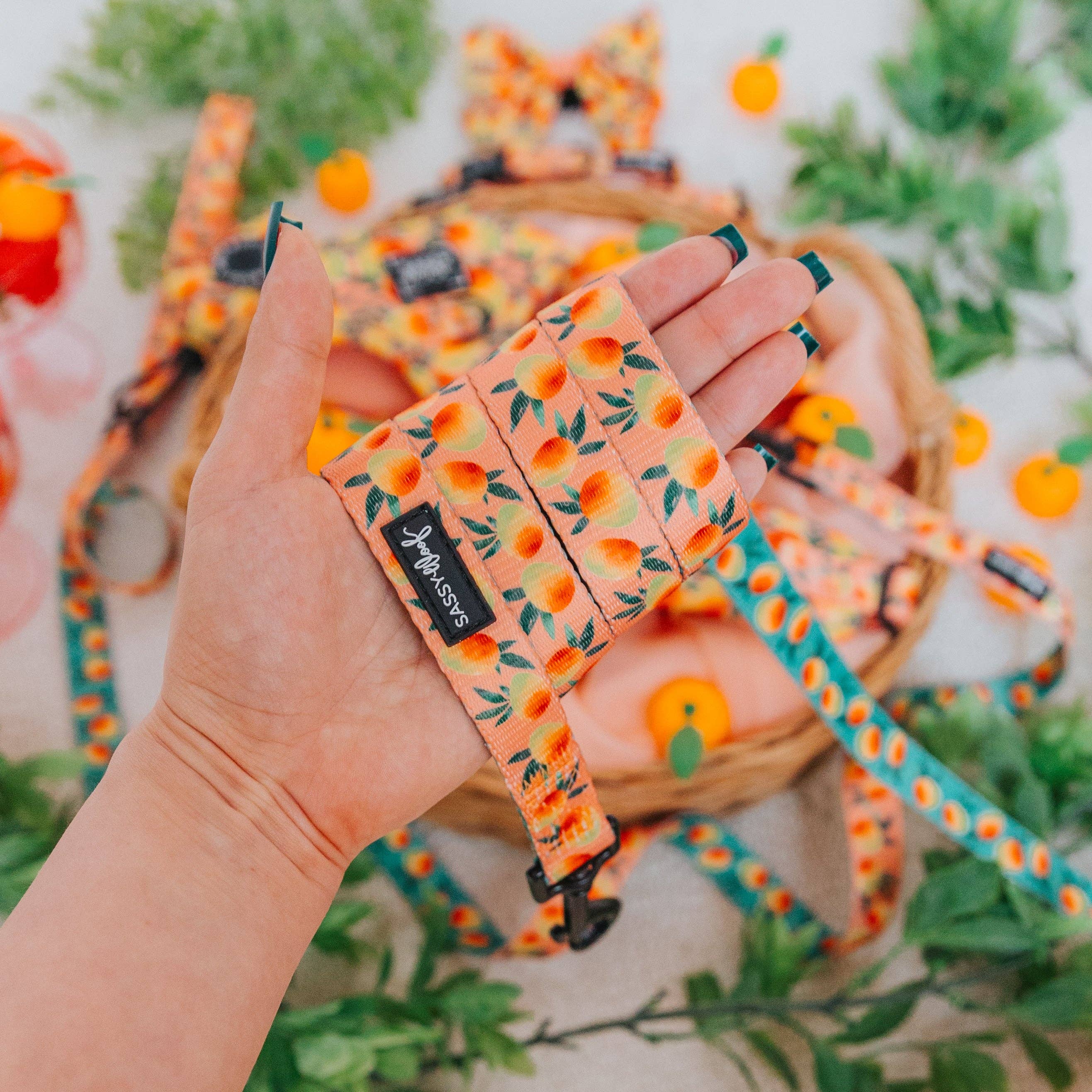 SASSY WOOF - Dog Leash  - Mango Tango