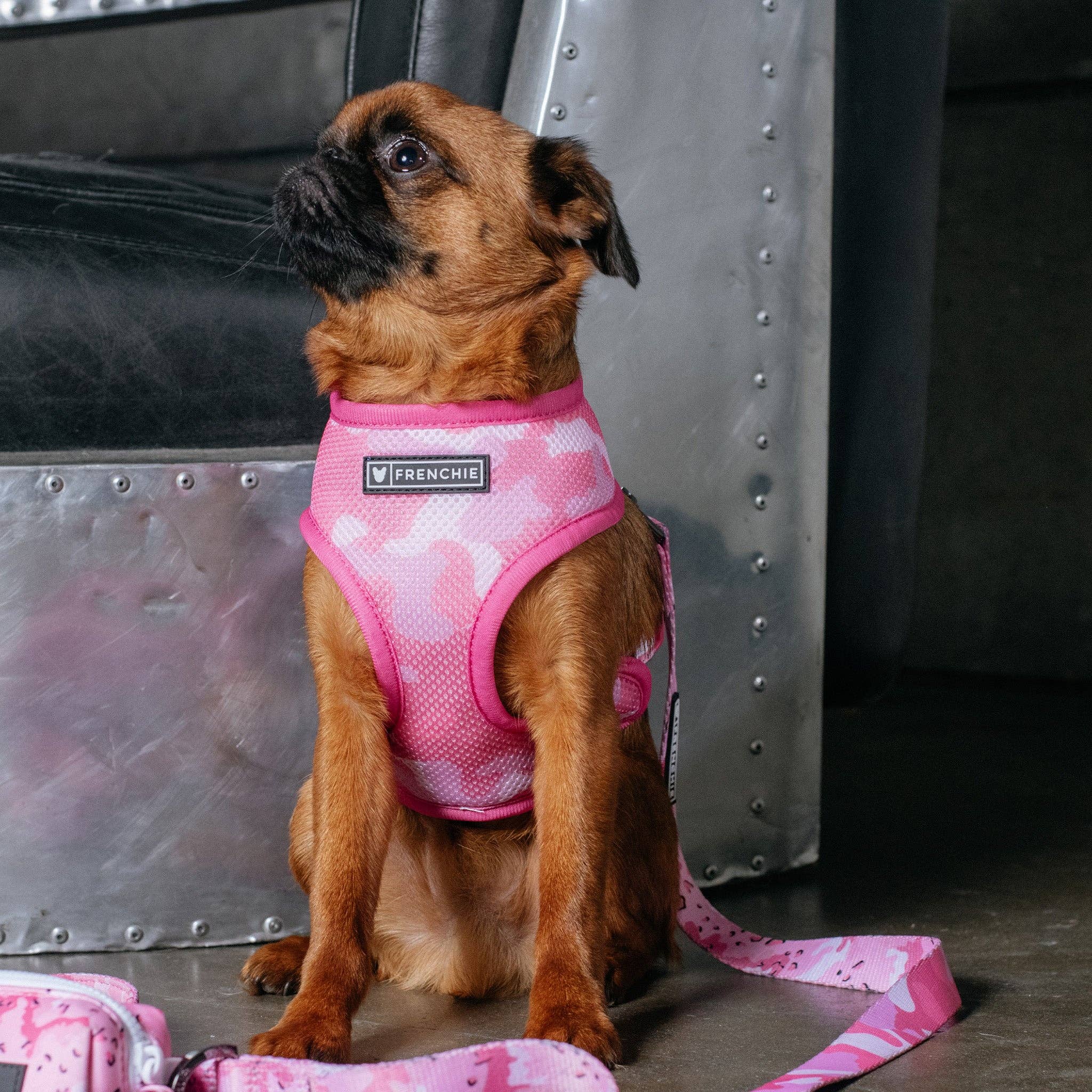 Frenchie - Frenchie Duo Reversible Harness - Desert Camo (Pink): XS