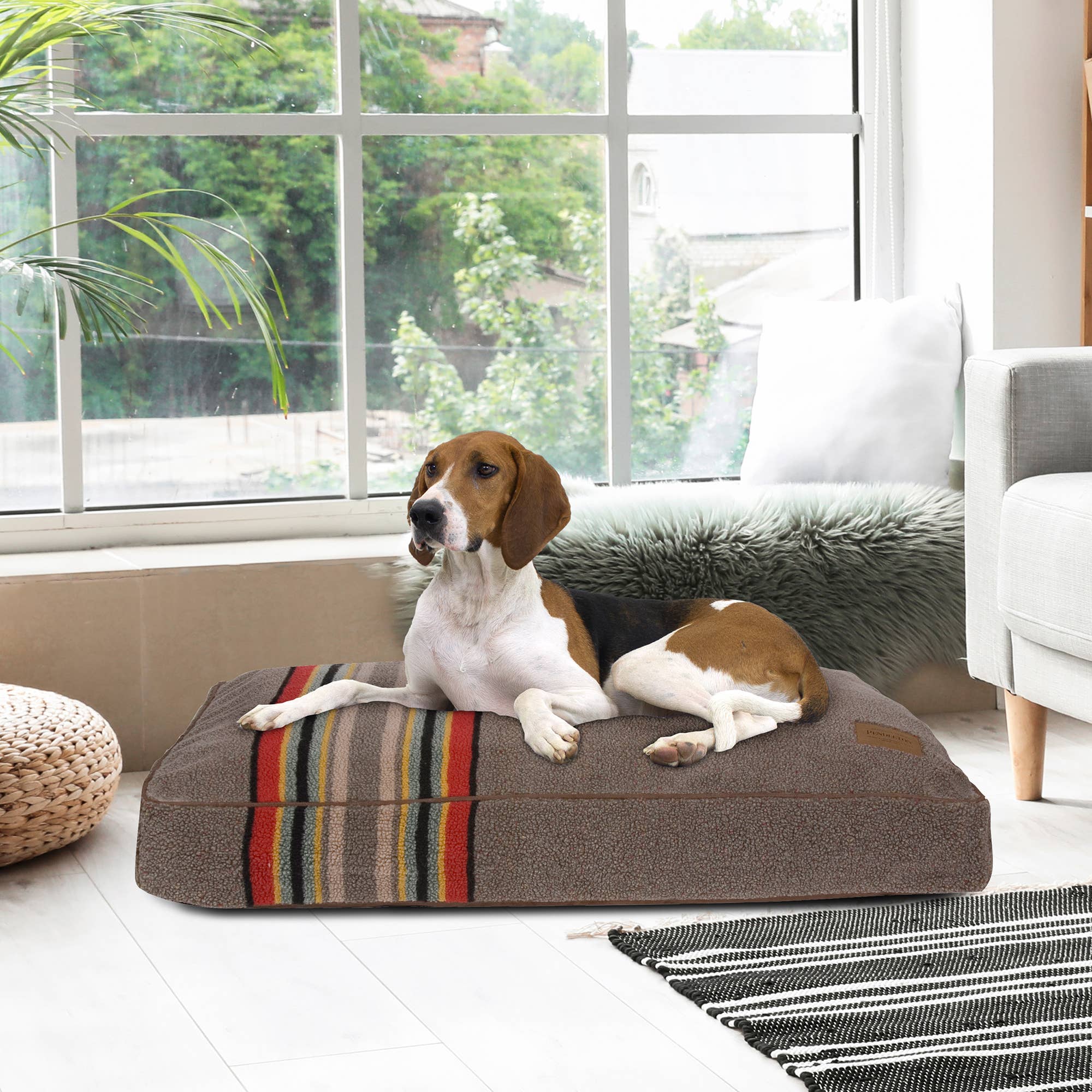 Pendleton Pet Vintage Camp Rectangular Pet Napper Dog Bed: Large / Lake